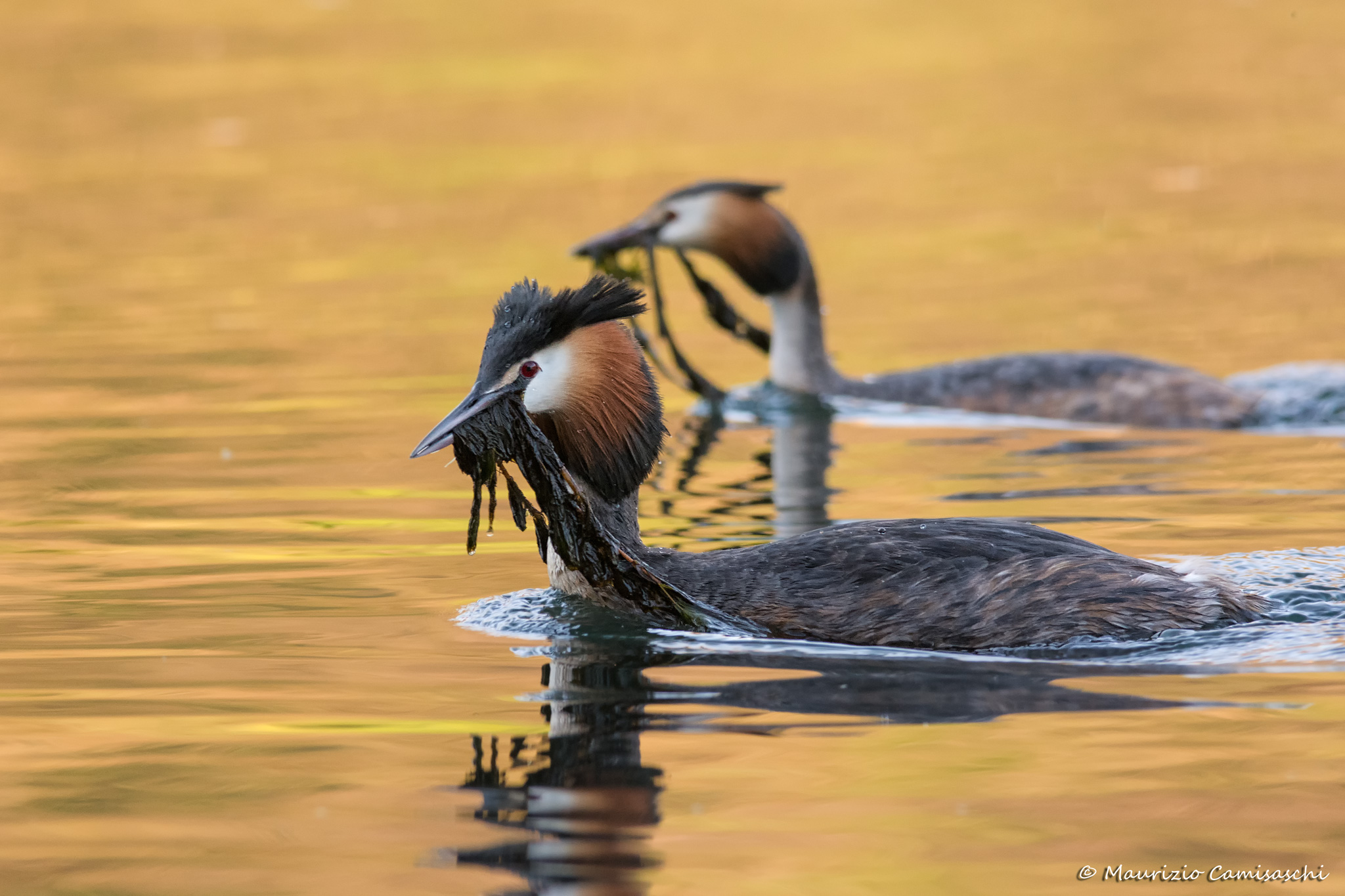 Trasporto di materiale edilizio