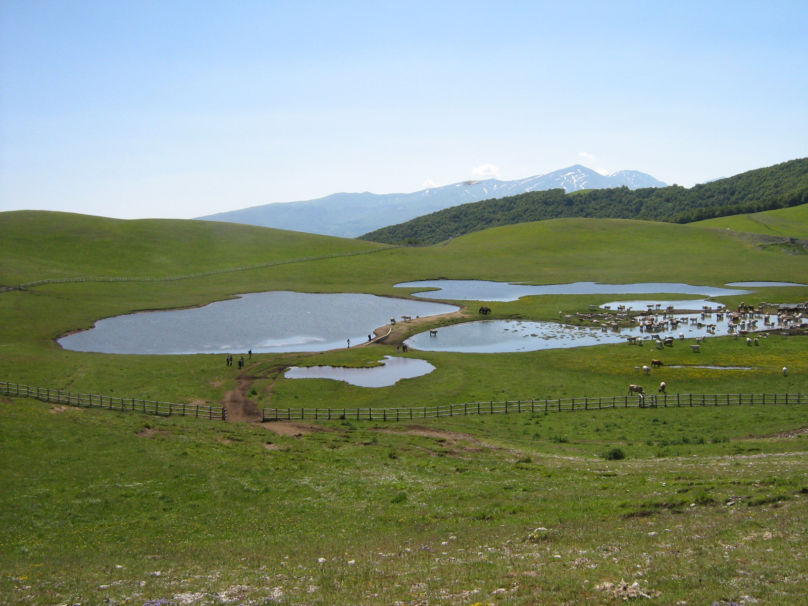 the marshes of Accumulations