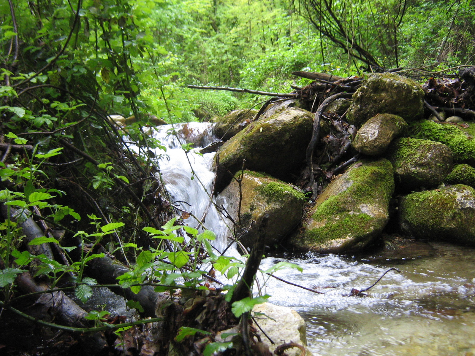 Orfento River National Park Abruzzo