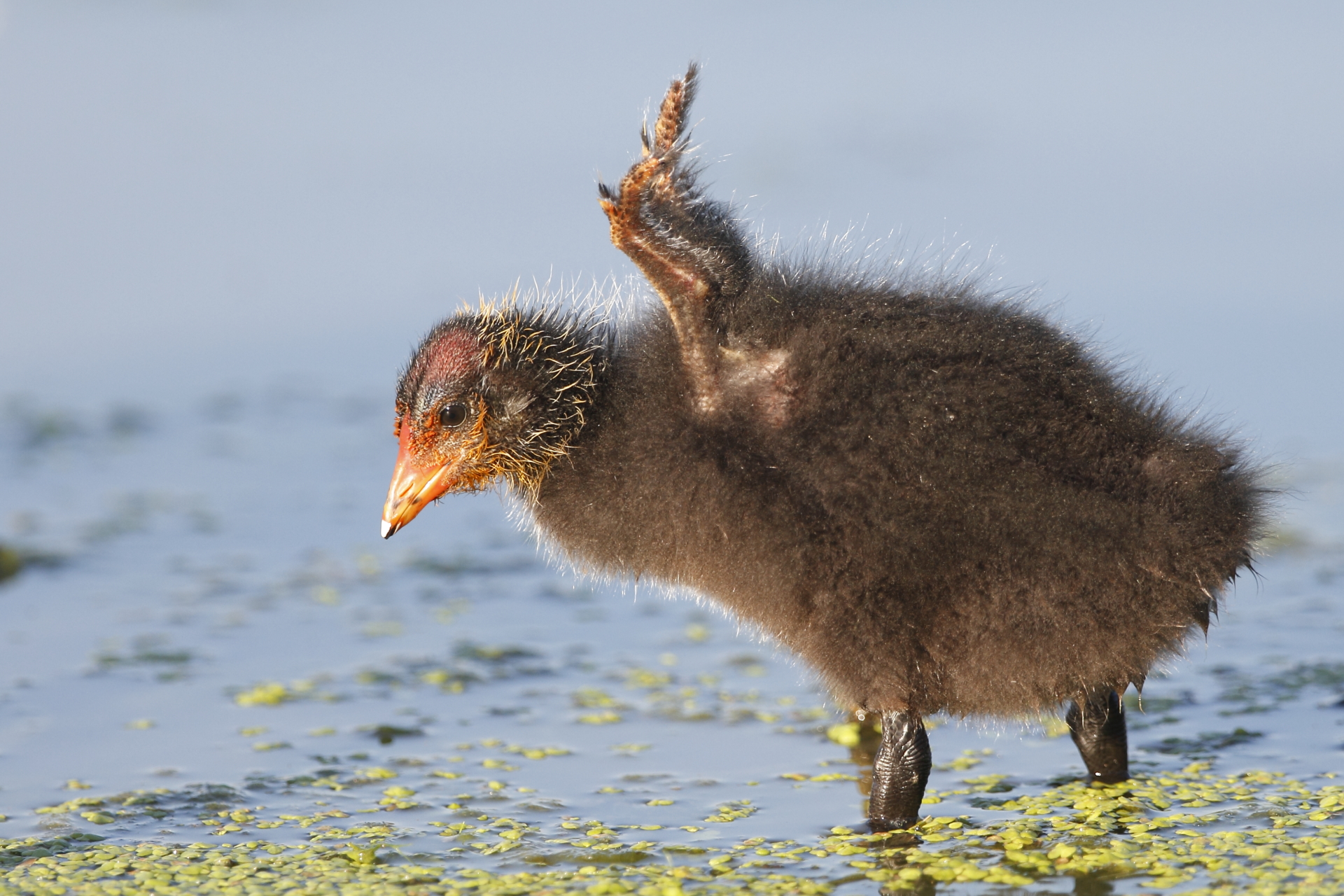 first stretching exercises