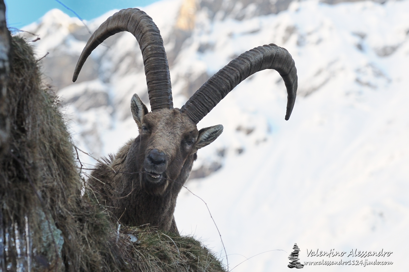 il vecchio e la montagna