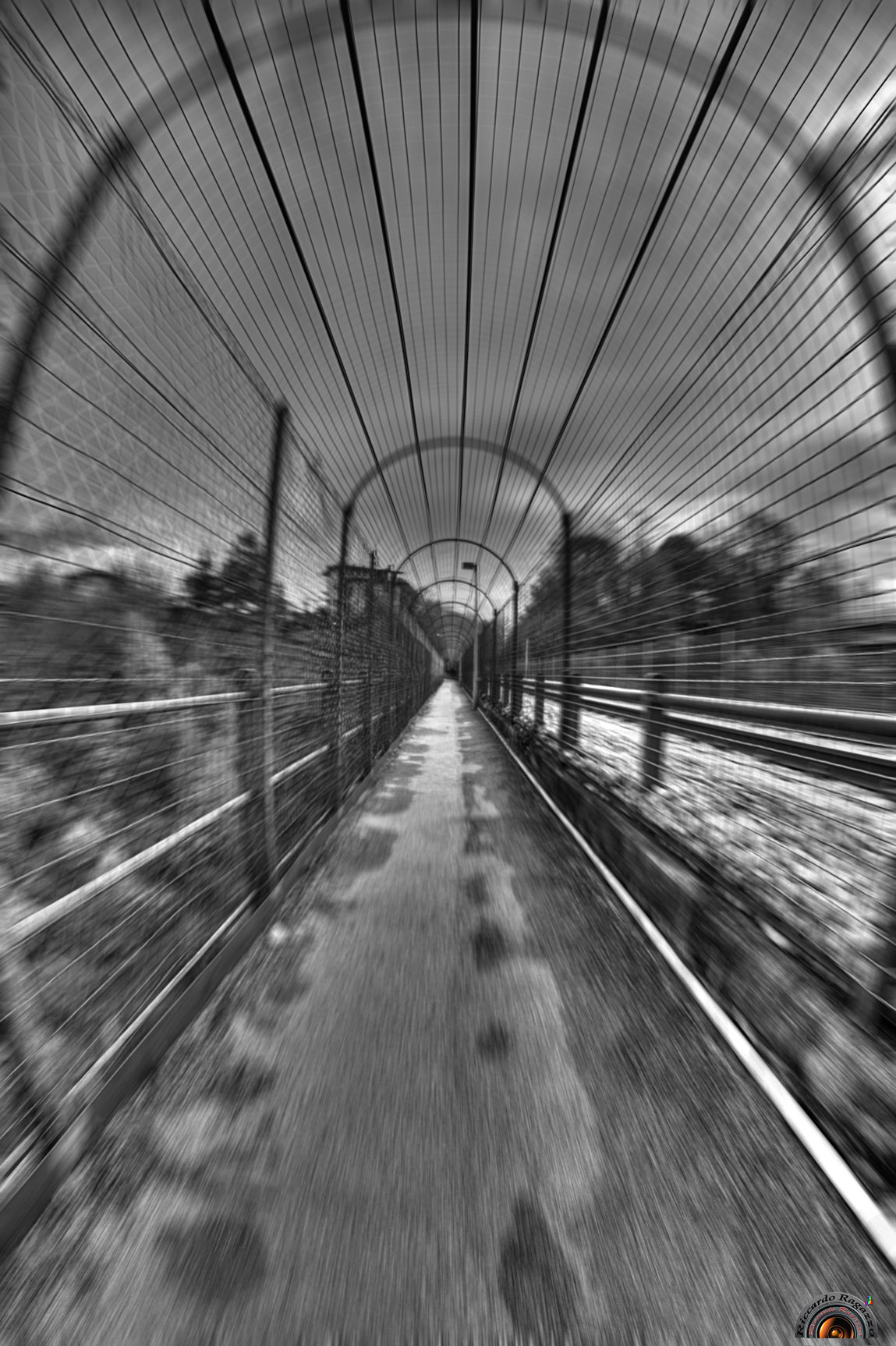 frettolose convergenze