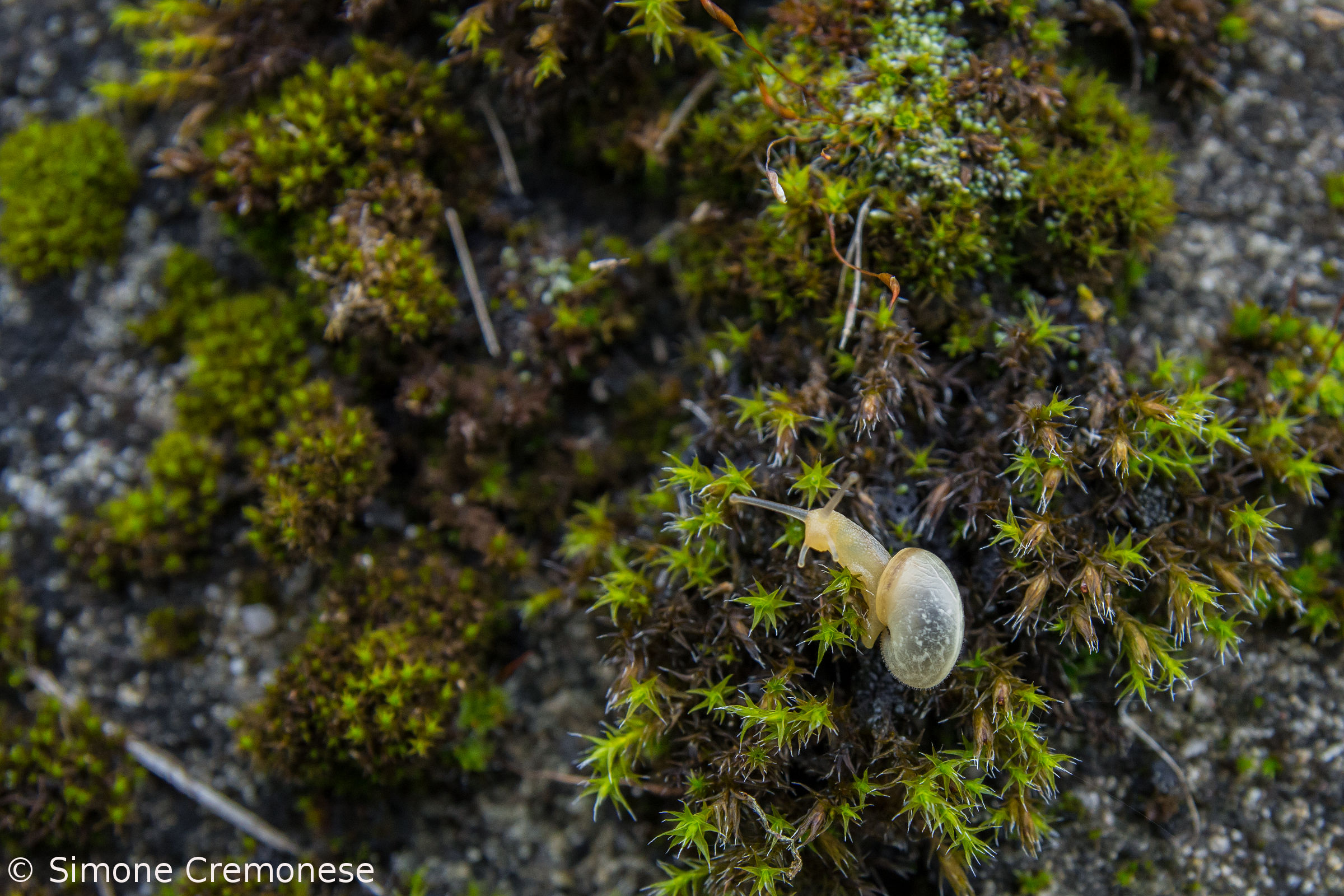 Che hai da guardare??