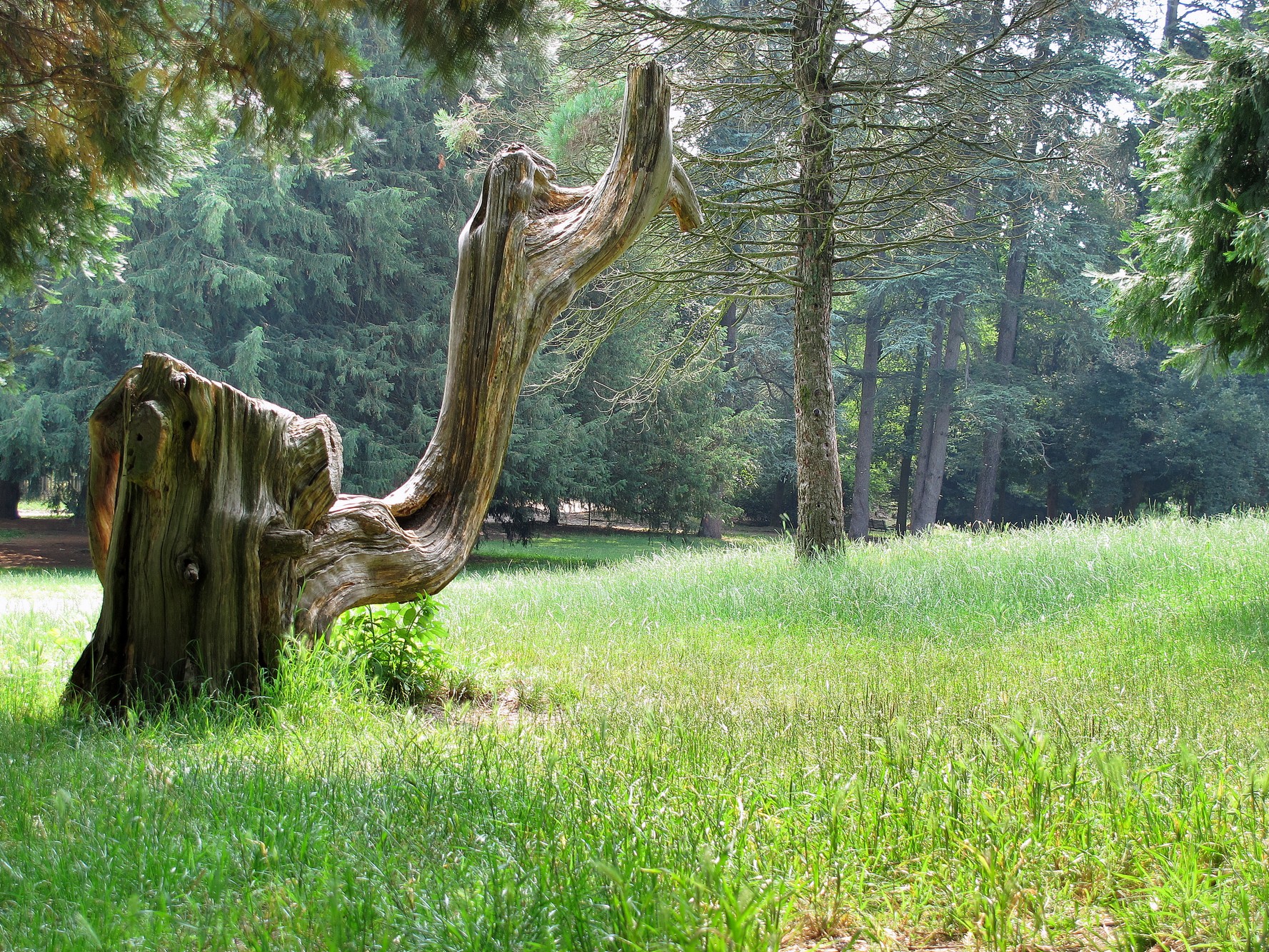 Sculture lignee .....parco di Monza