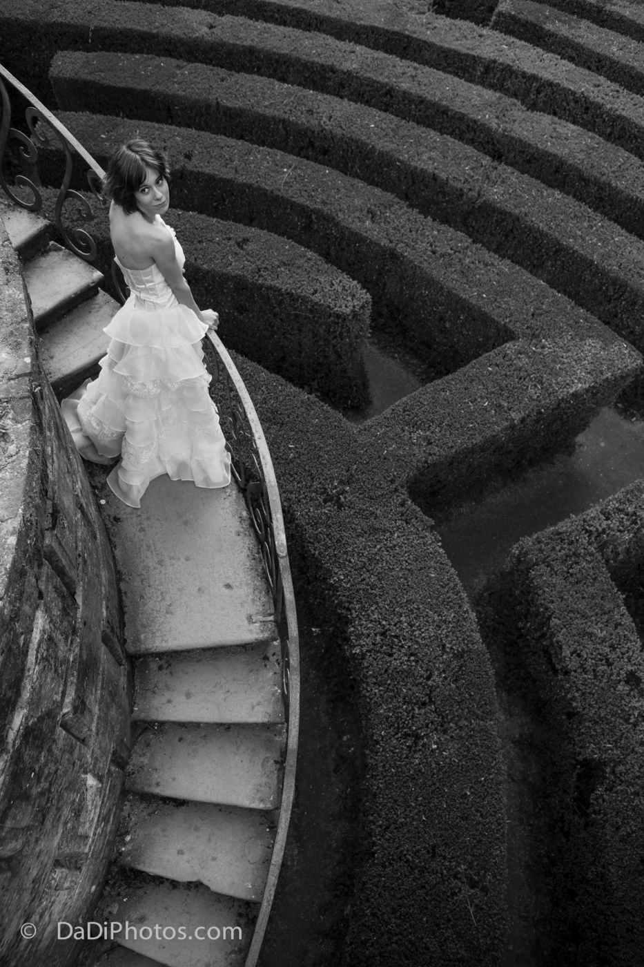 Looking for  BW version