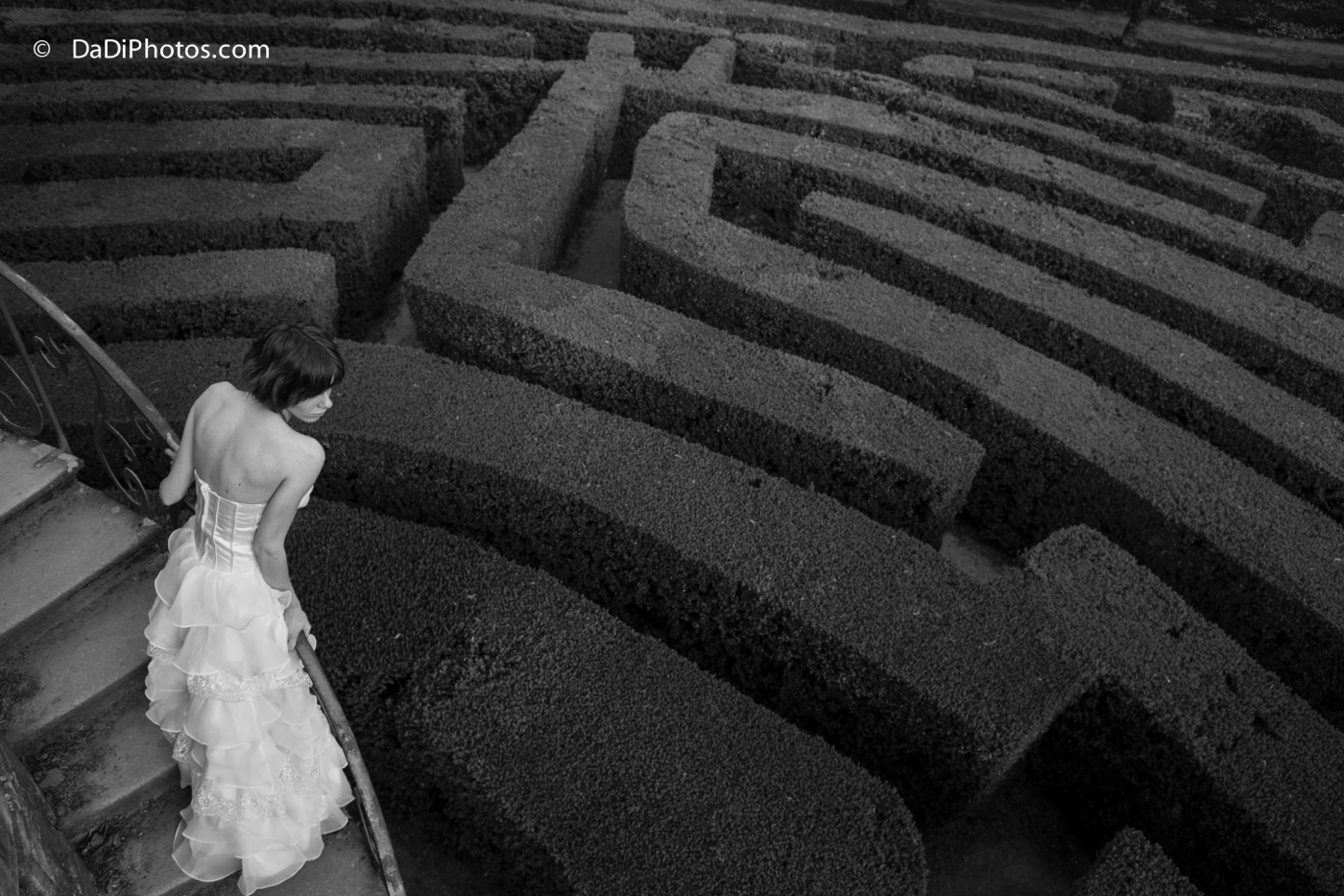 My Life?   BW Version