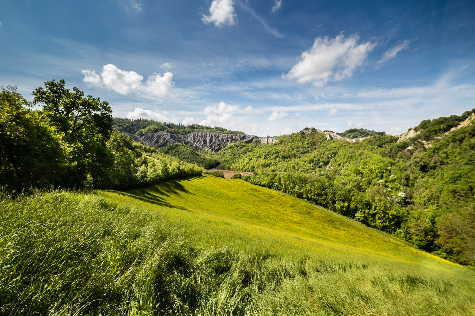 Calanchi primaverili