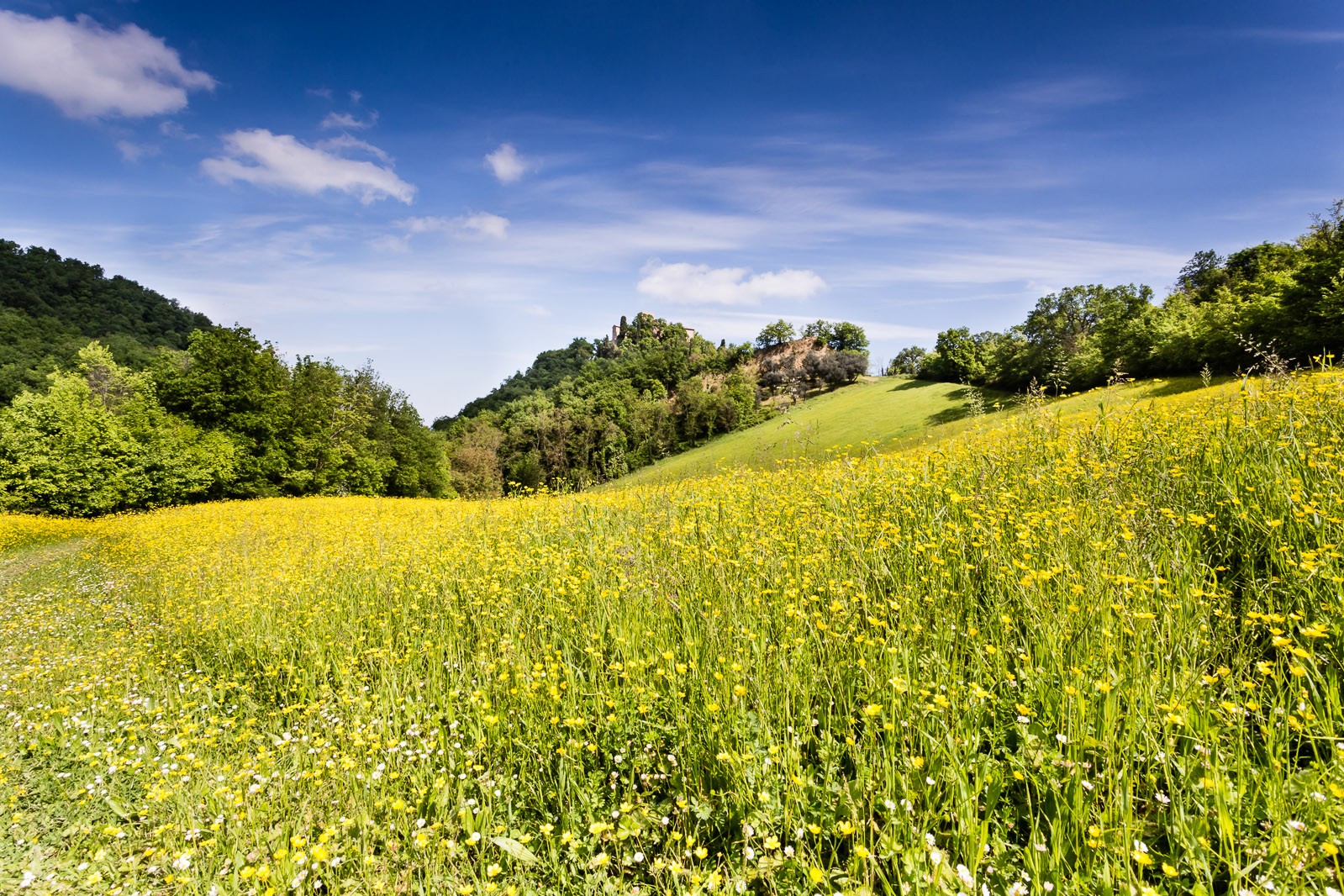 Prato al Castello del Bianello