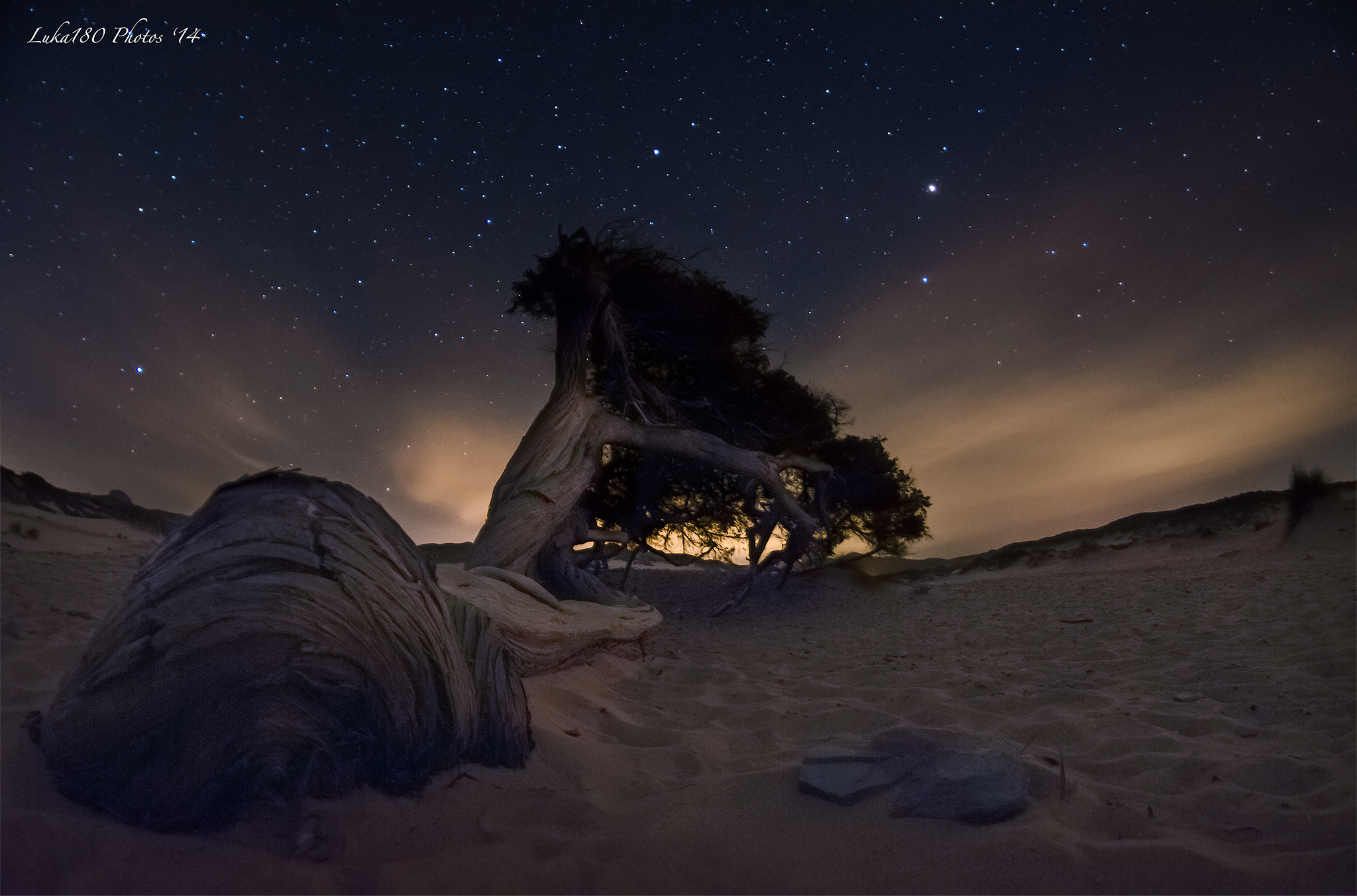 The Old Tree - Piscinas