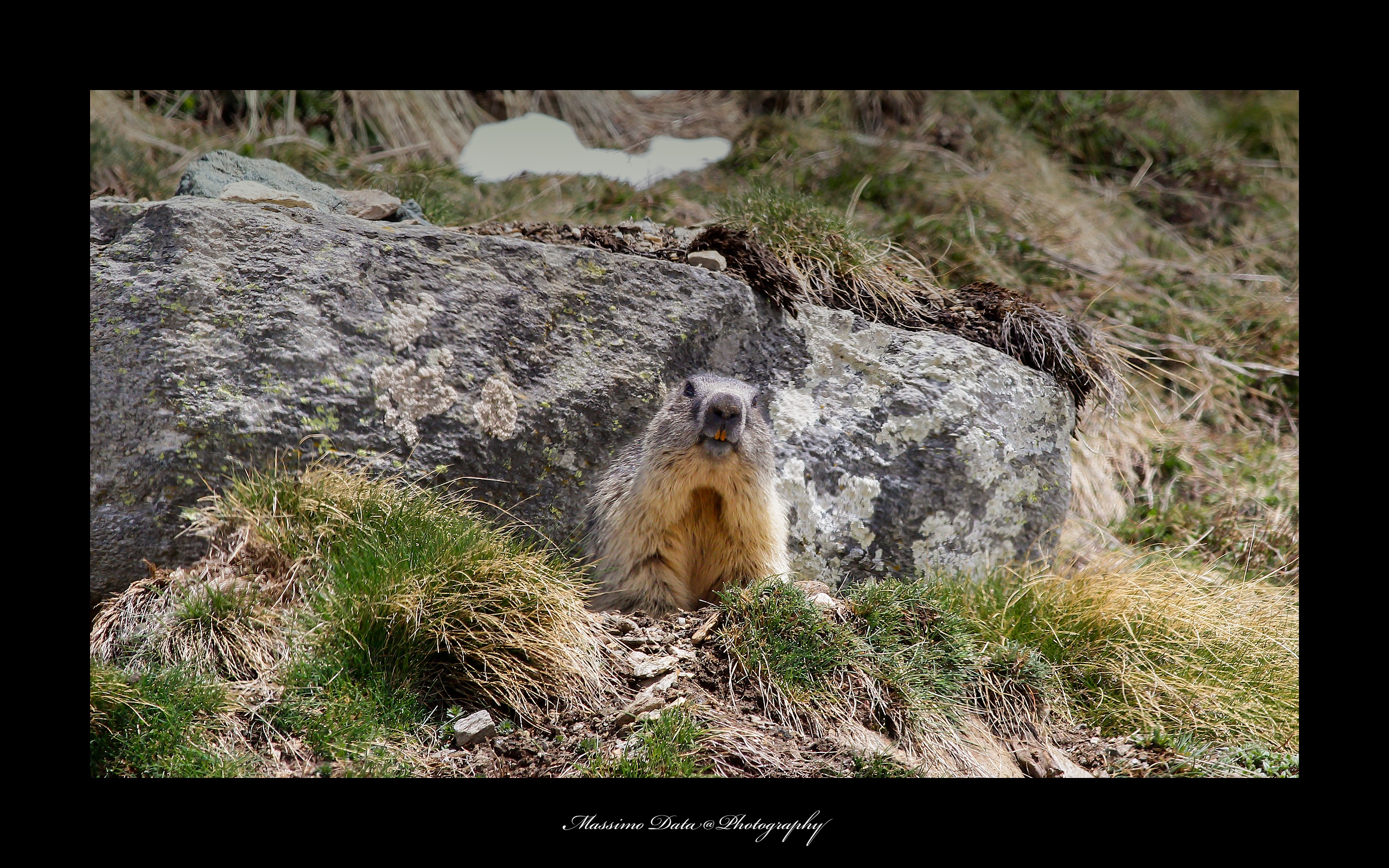 A beautiful smile! Thank you!