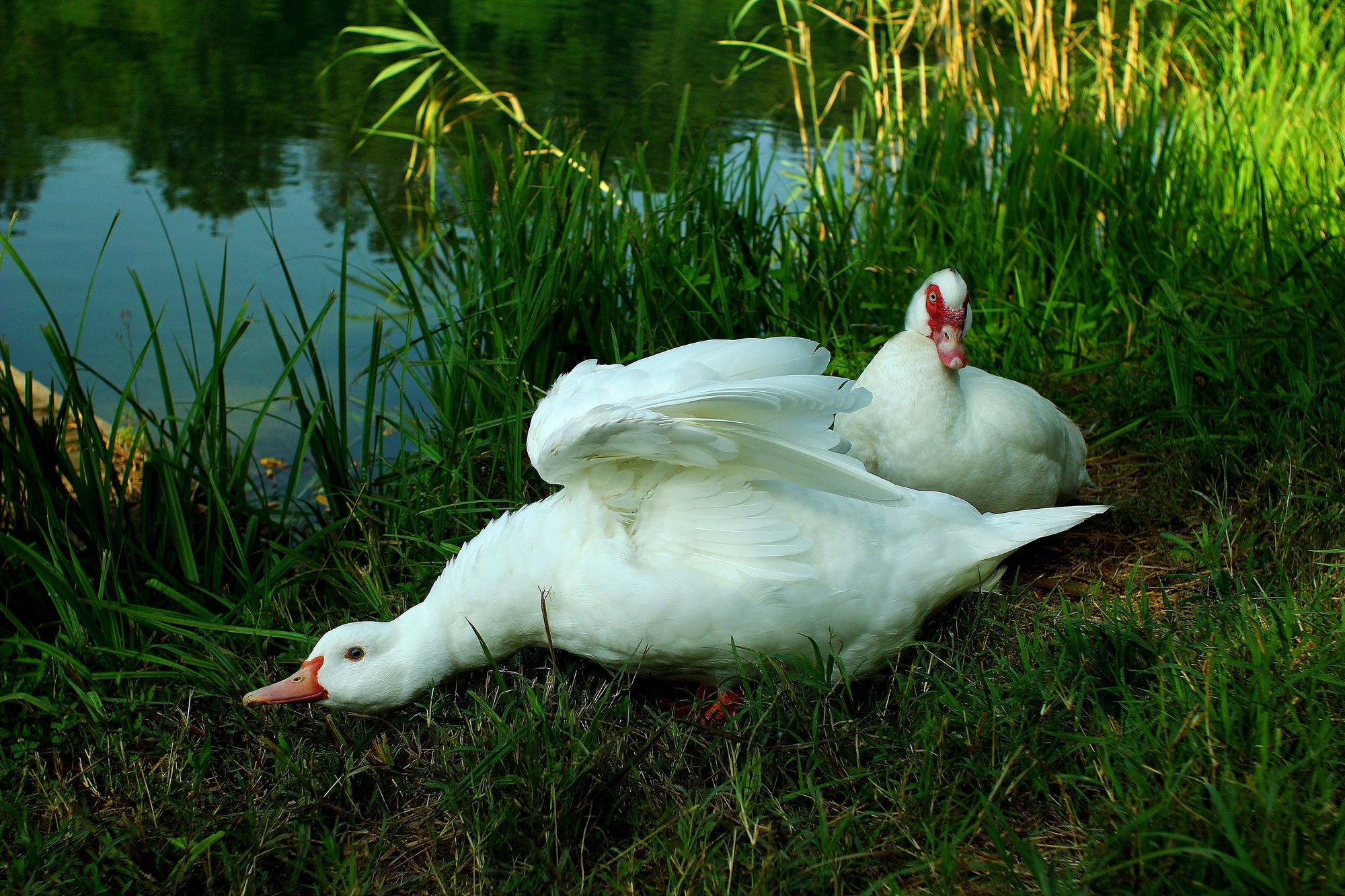 We will keep an eye on .................