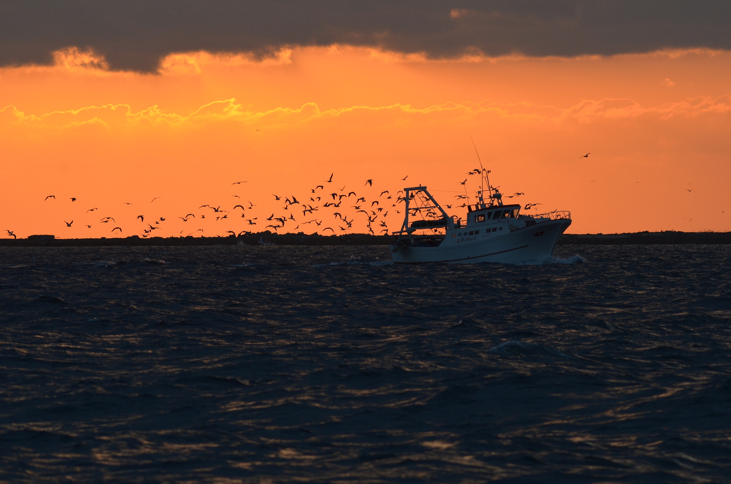 A pesca in compagnia.