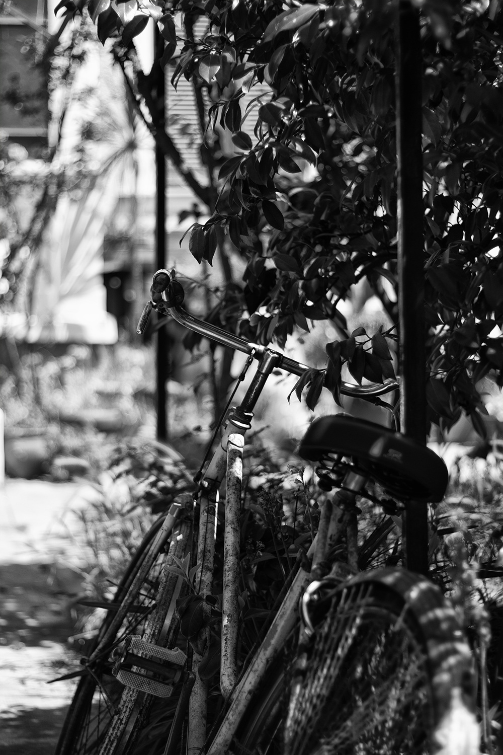 Bicicletta vecchietta