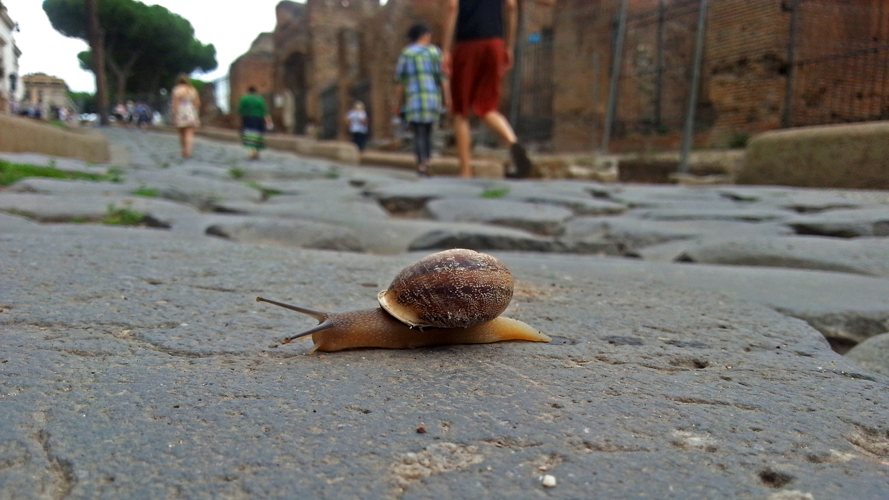 fori imperiali con il cellulare !