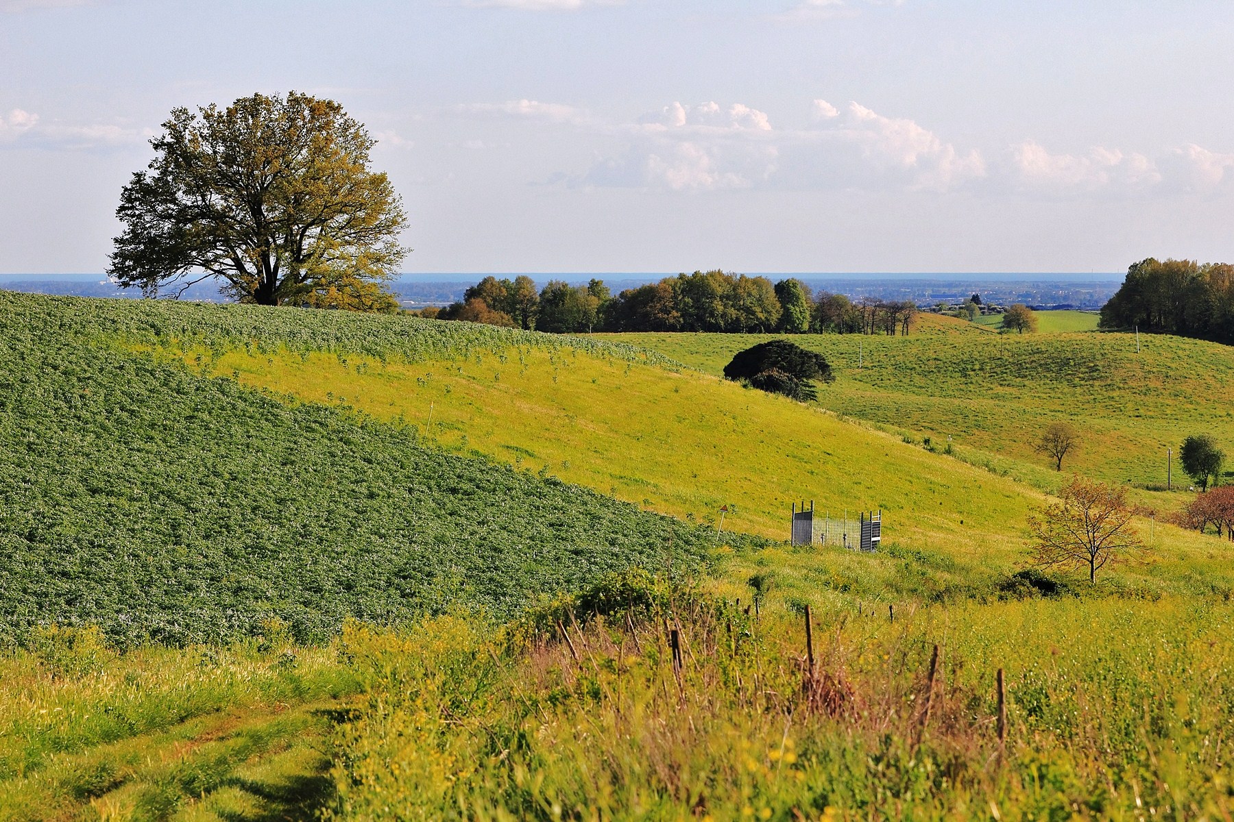 Colline in primavera