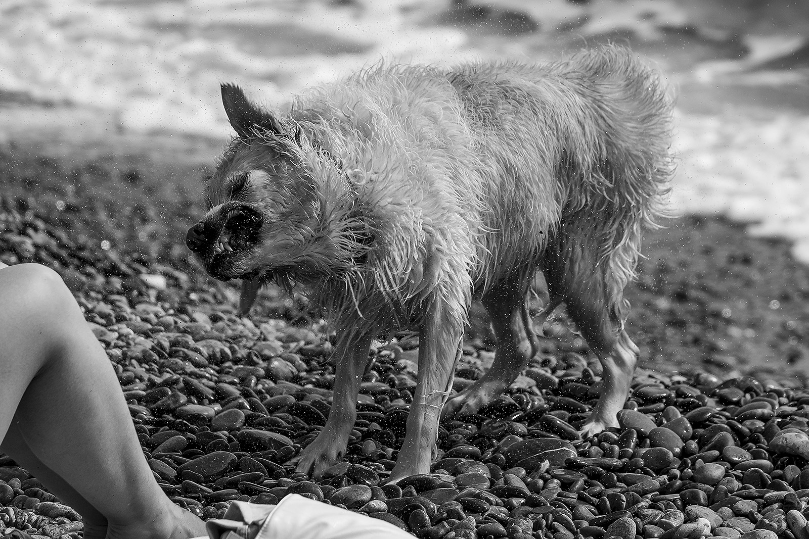 Quando ci vuole ci vuole...