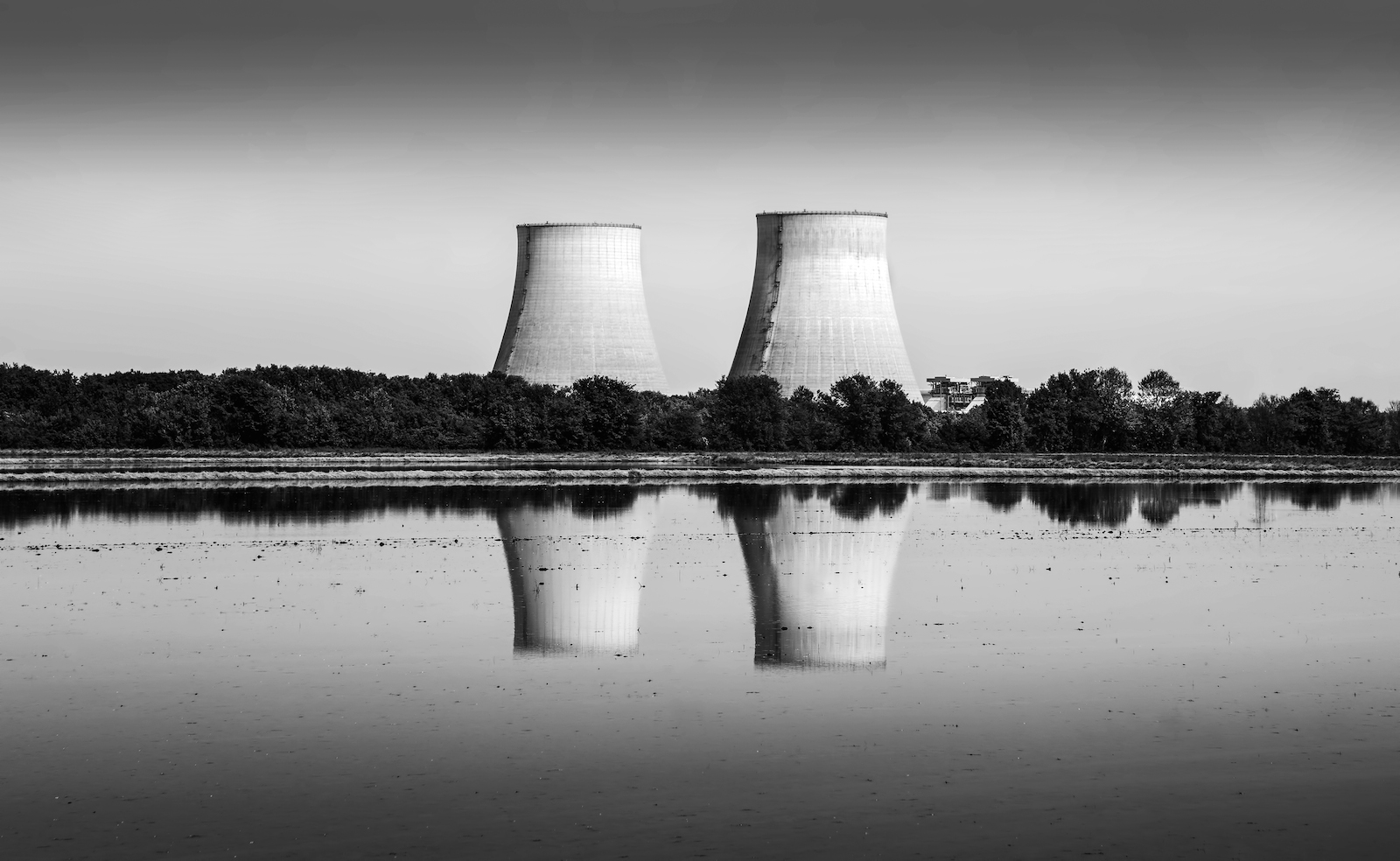 Riflessi in risaia......