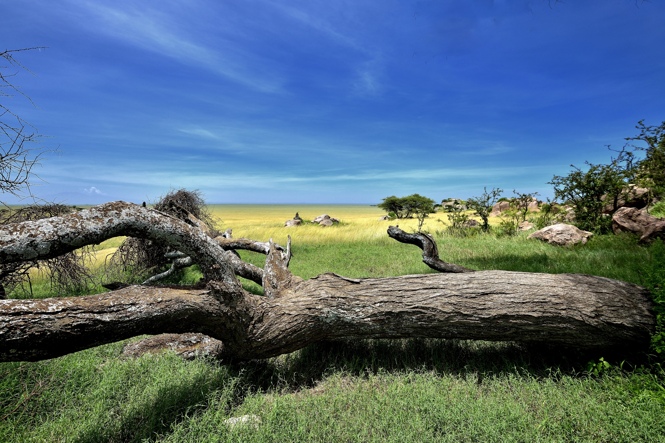 Serengeti - Paesaggio