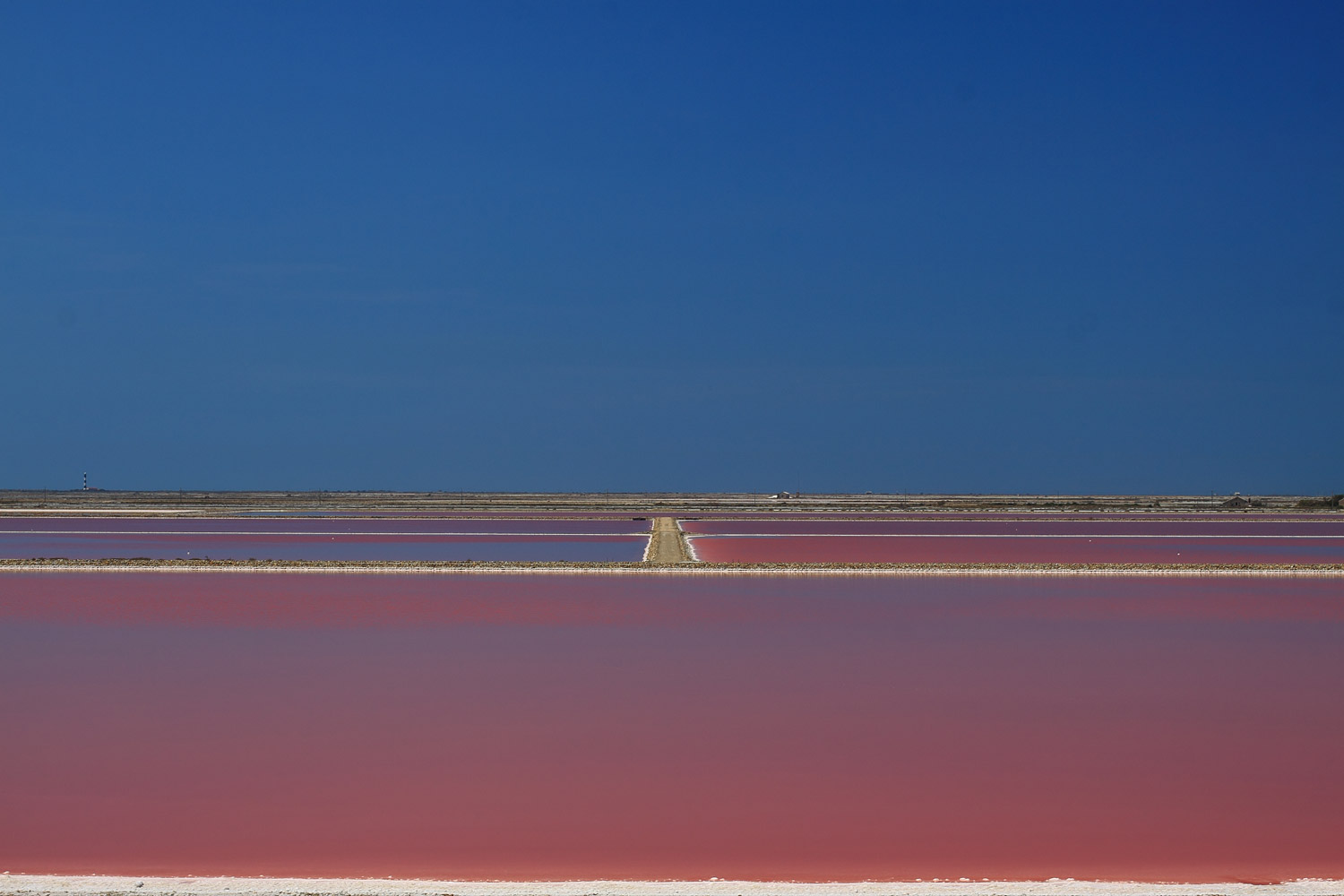 Saline della Camargue