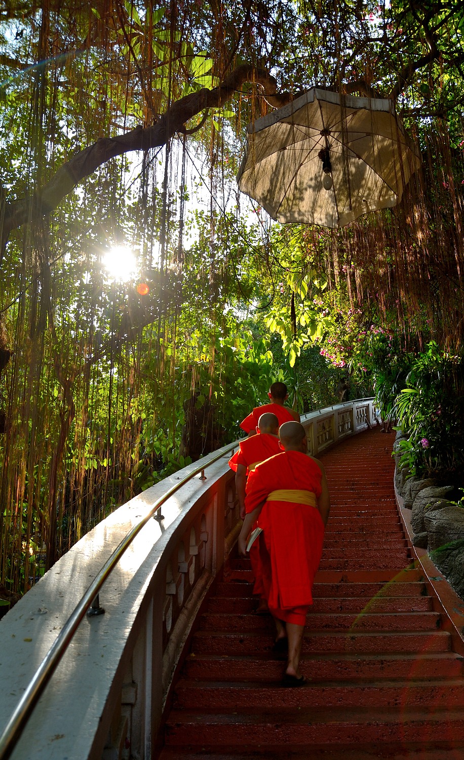 Buddhist monks @ Bangkok