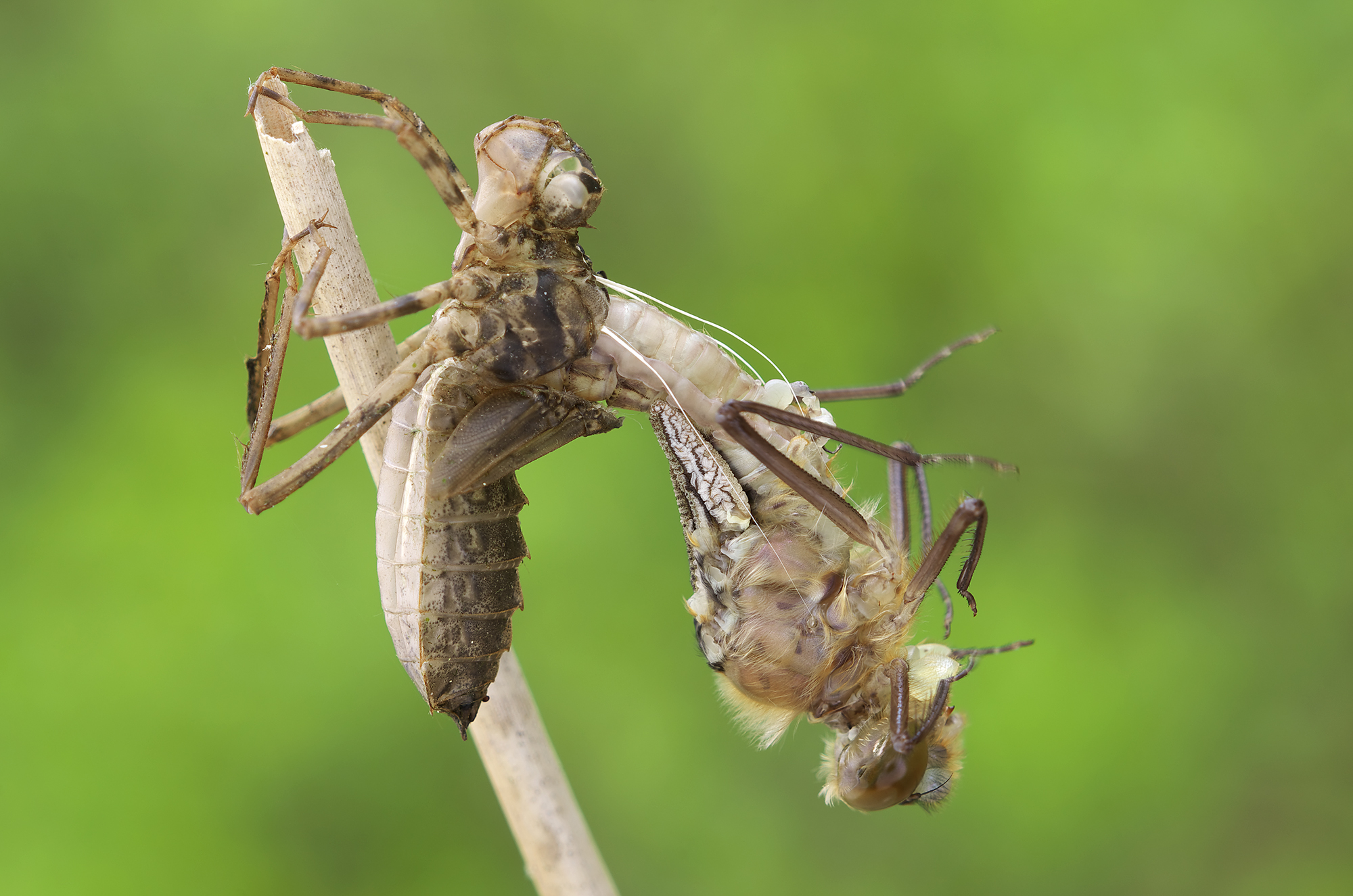 E 'sempre difficile iniziare ...