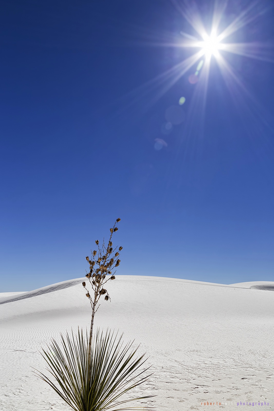 White Sands National Monument
