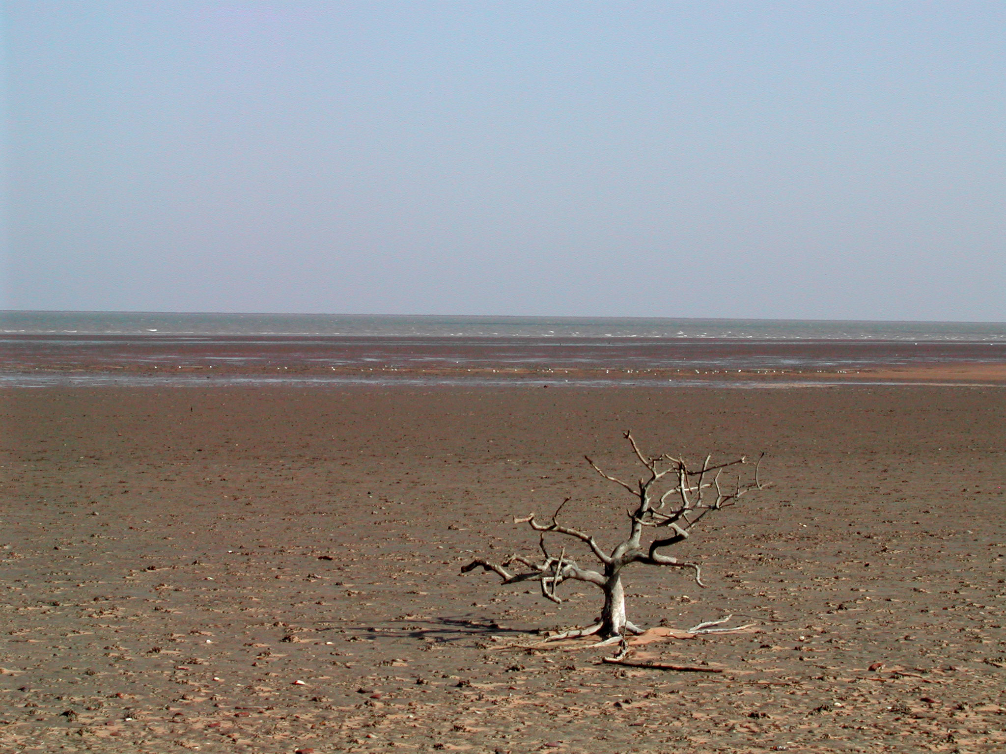 India border with Pakistan