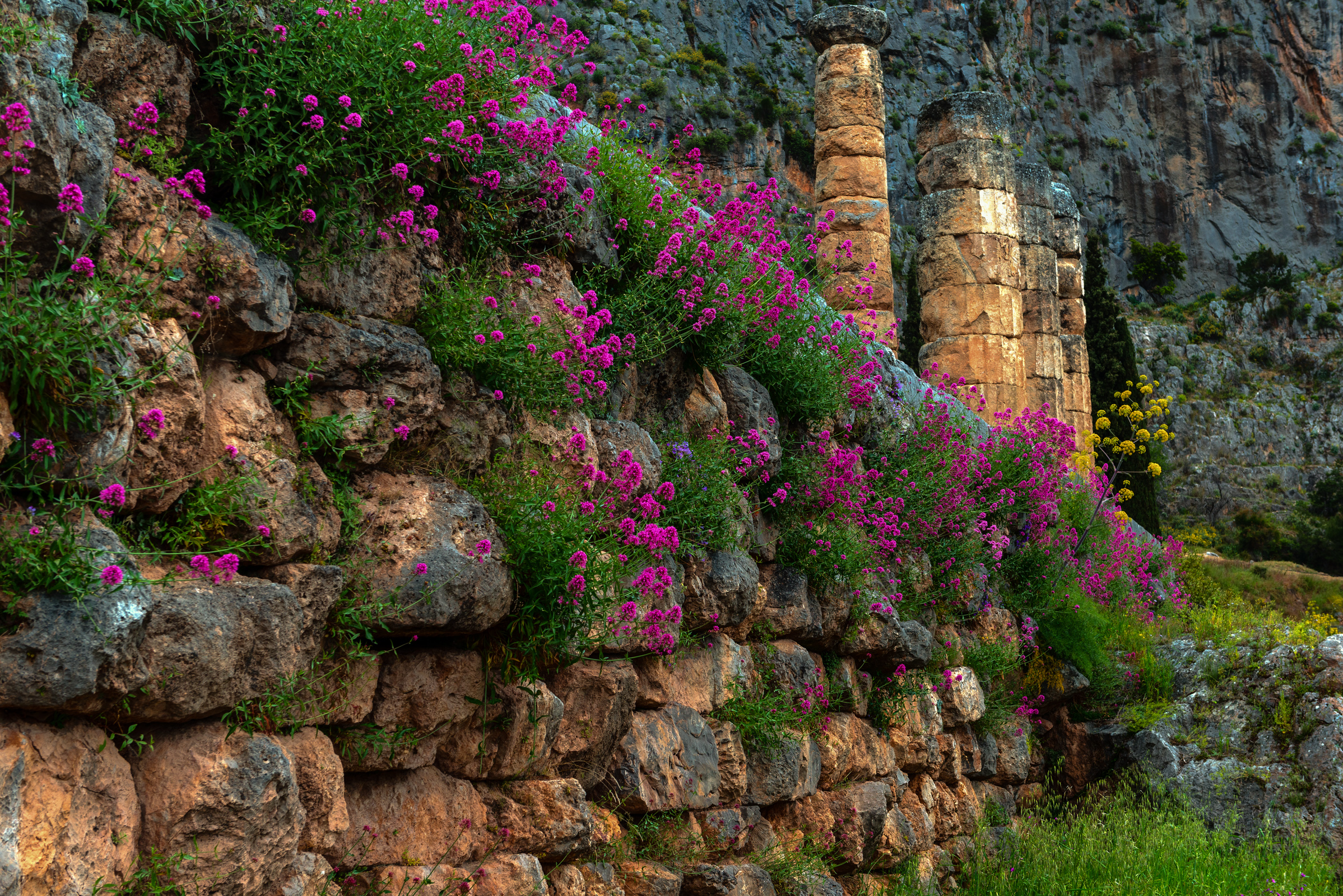 Central Greece - Delphi - Apollon Temple Ruins