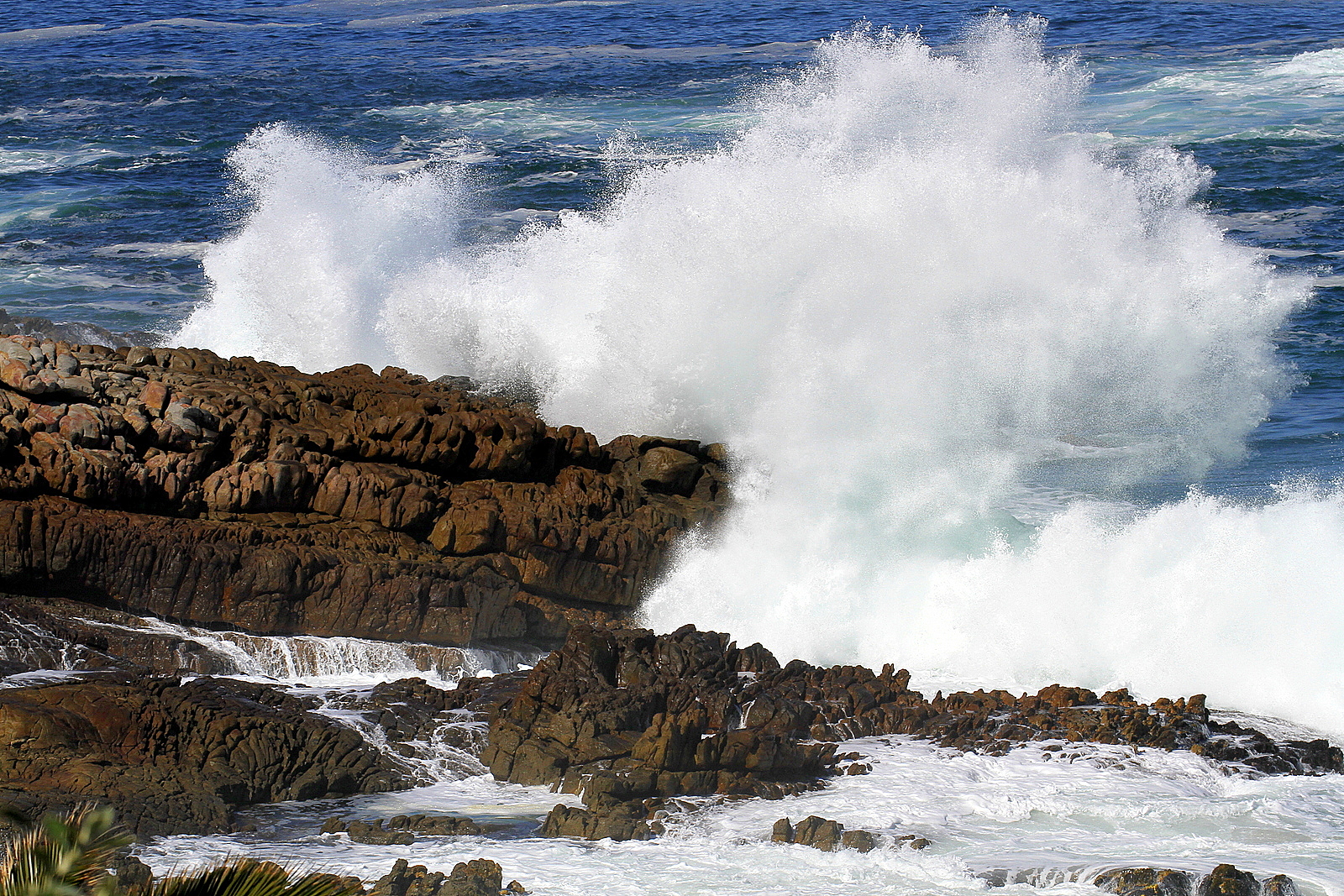 Cape of Good Hope ........!