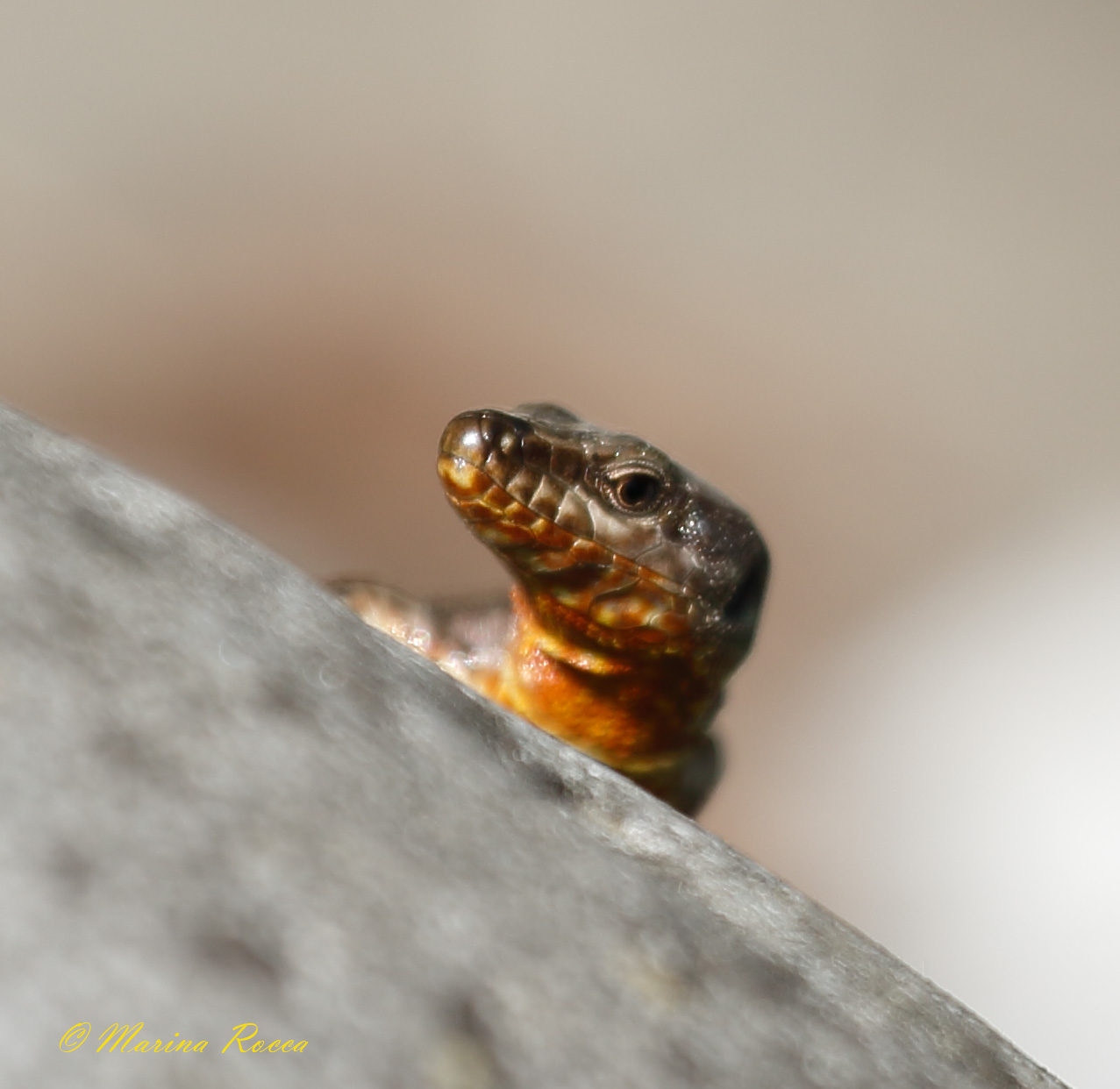 ti tengo d'occhio !!