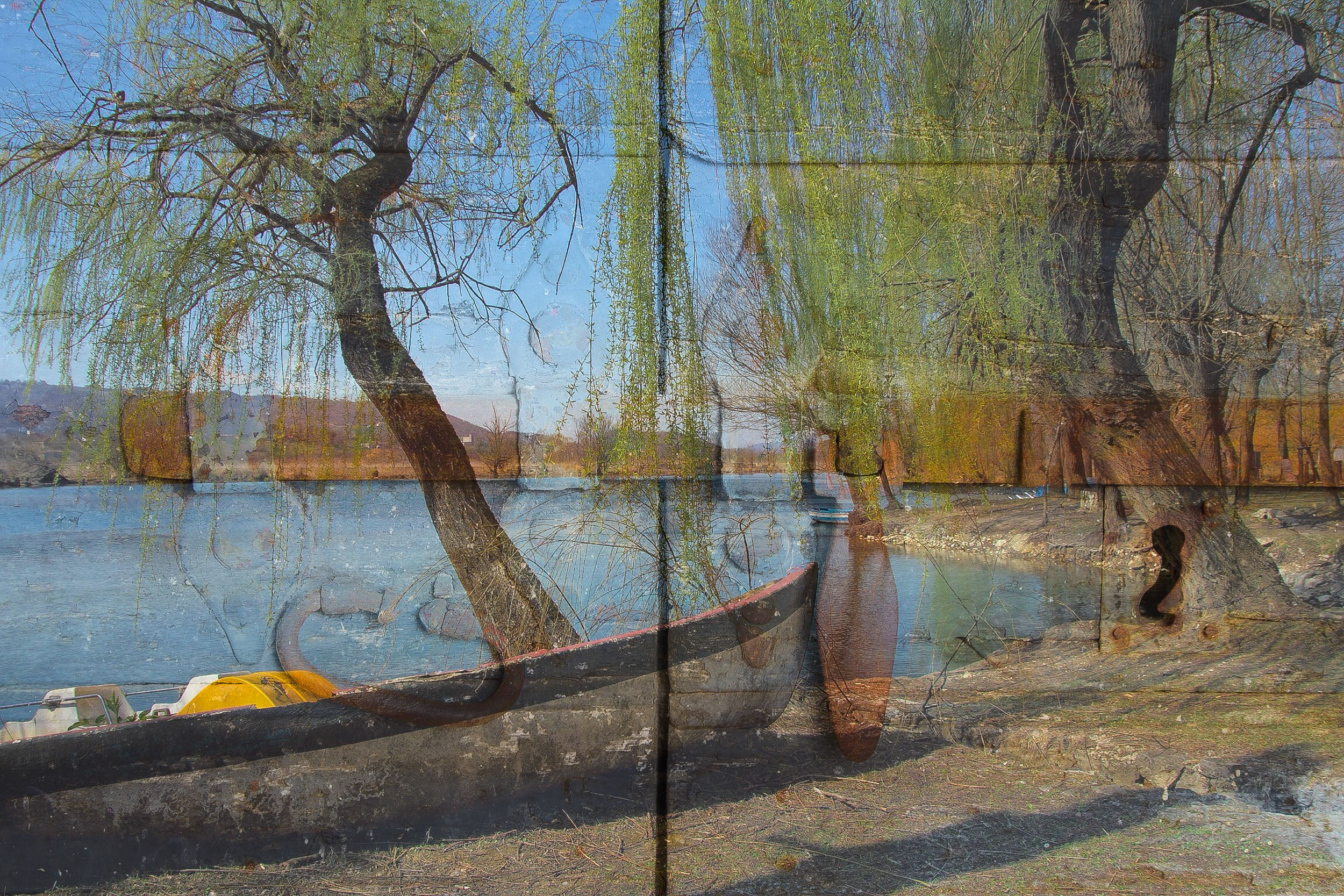 Dietro una porta..troverai sempre qualcosa da osservare