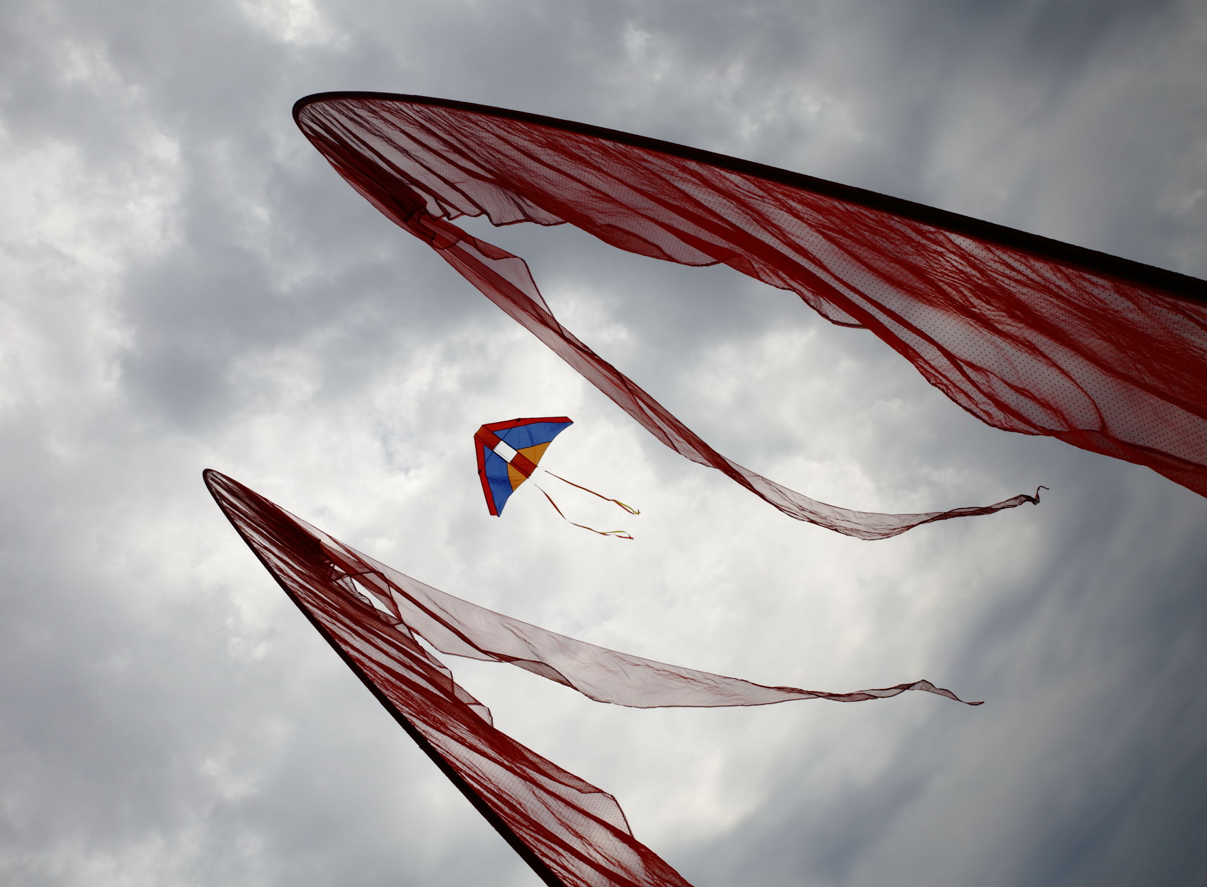 Festival dell'aquilone