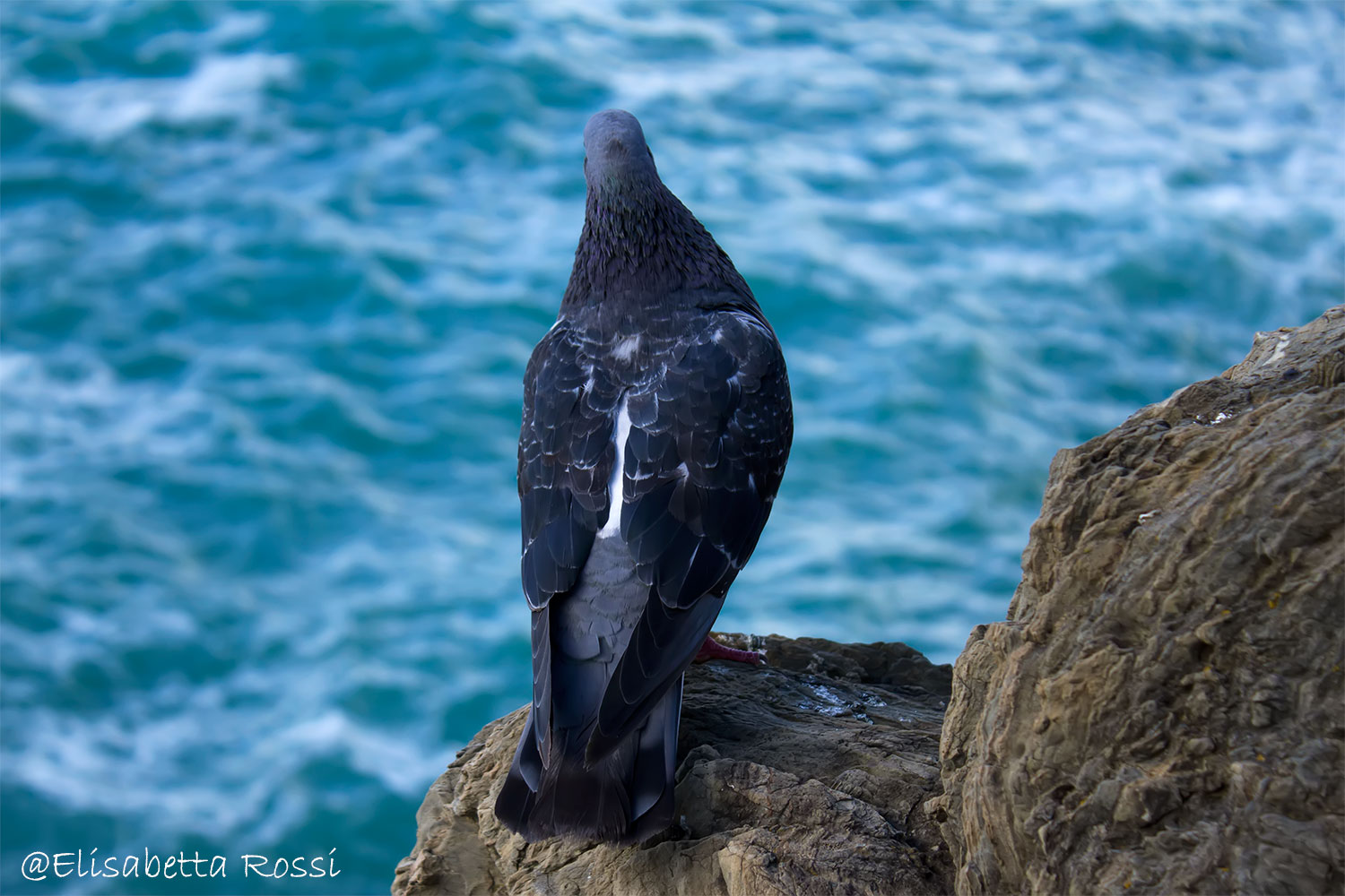 Scrutinizing The horizon