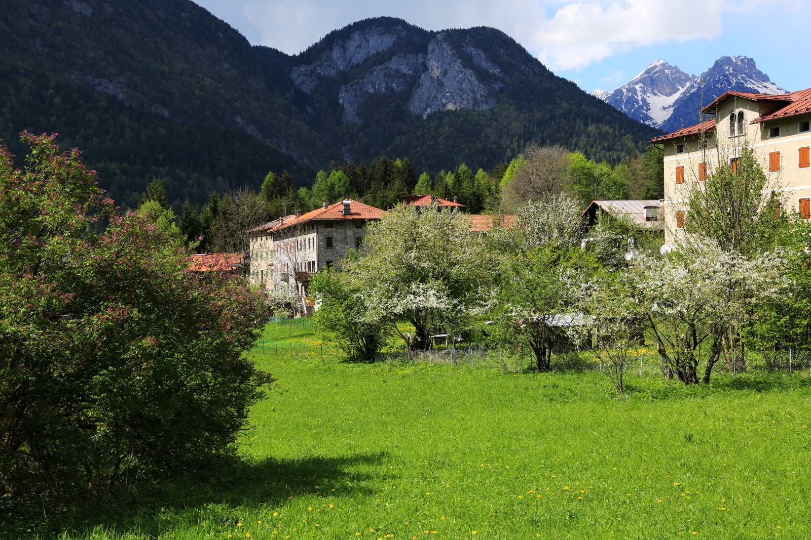 Spring in the mountains