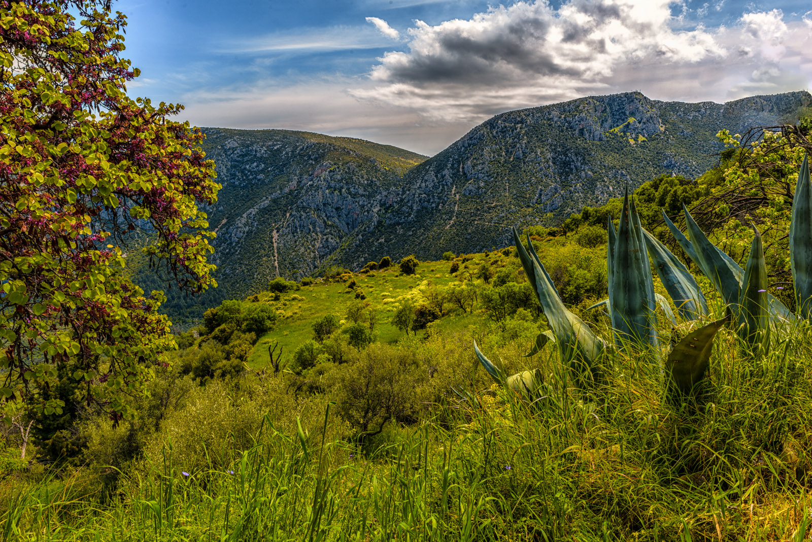 Spring on Peloponnese