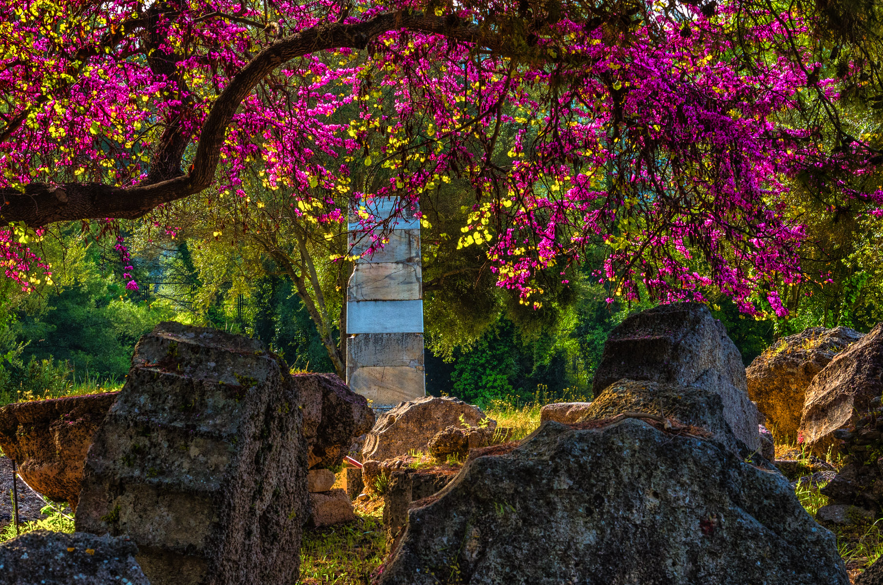 Olimpia, dove ha iniziato i giochi