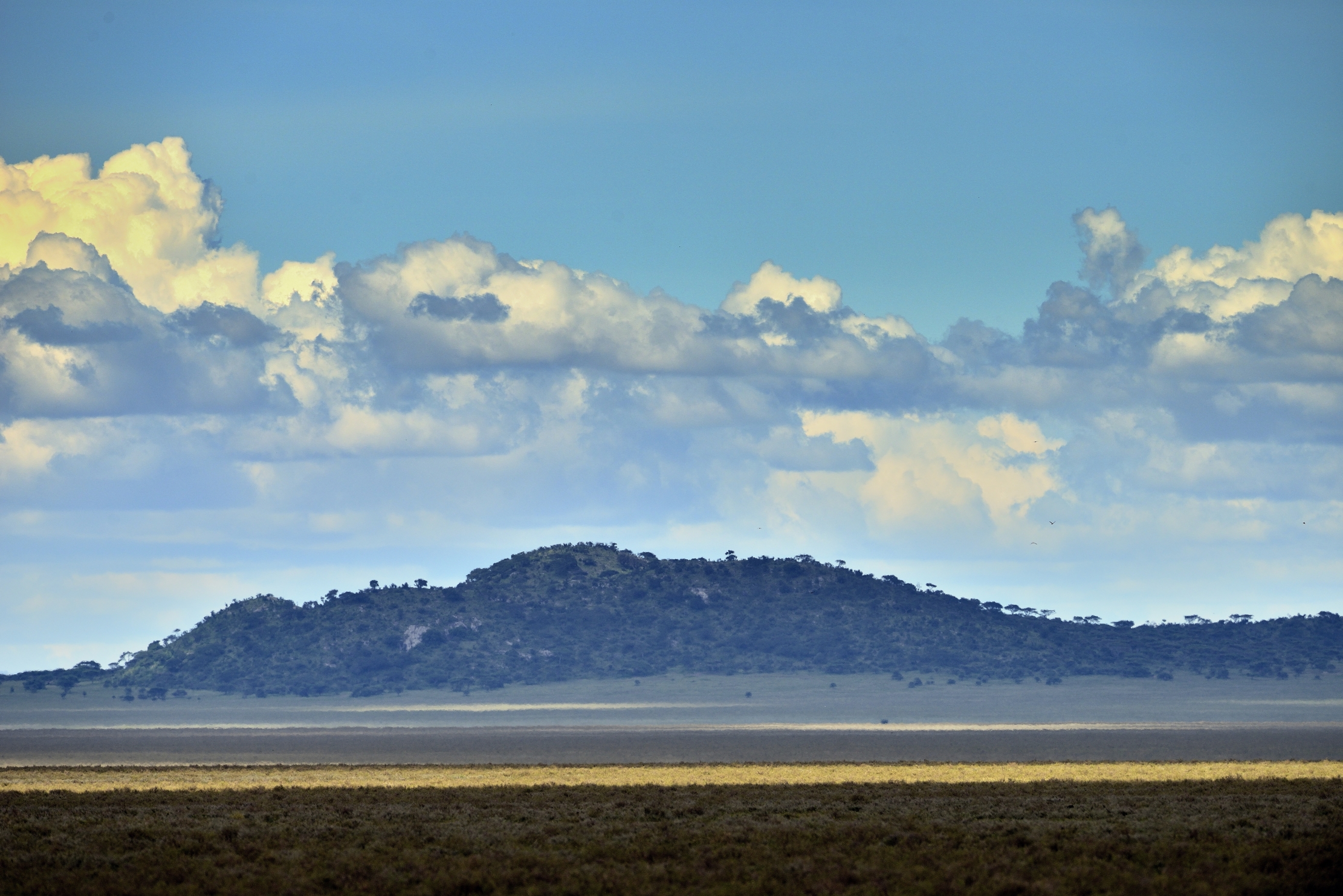 Ngorongoro Cocervation Area - Paesaggio