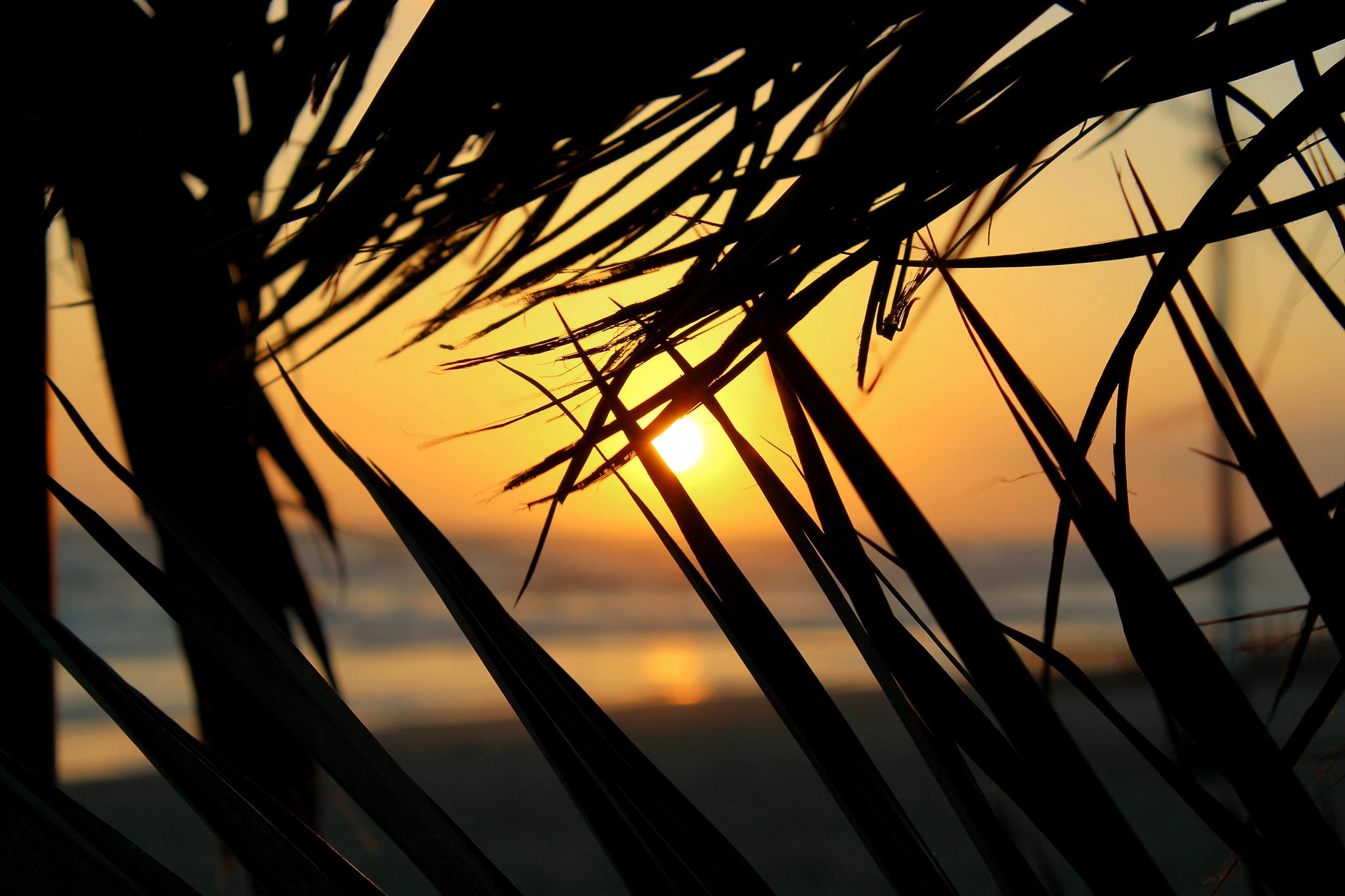 Sunset in Torvaianica