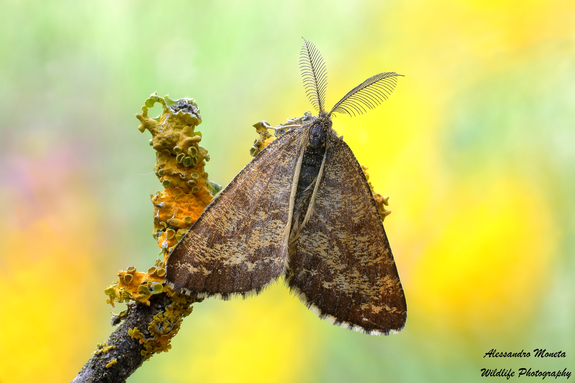 On the color palette