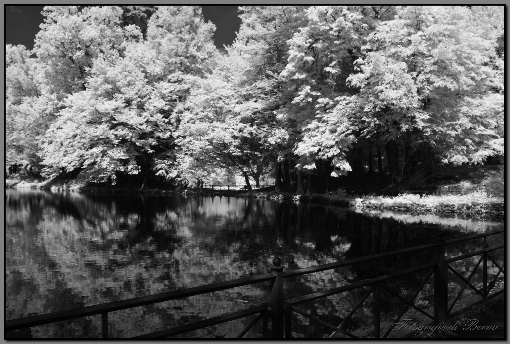 Parco di Monza Infrarosso