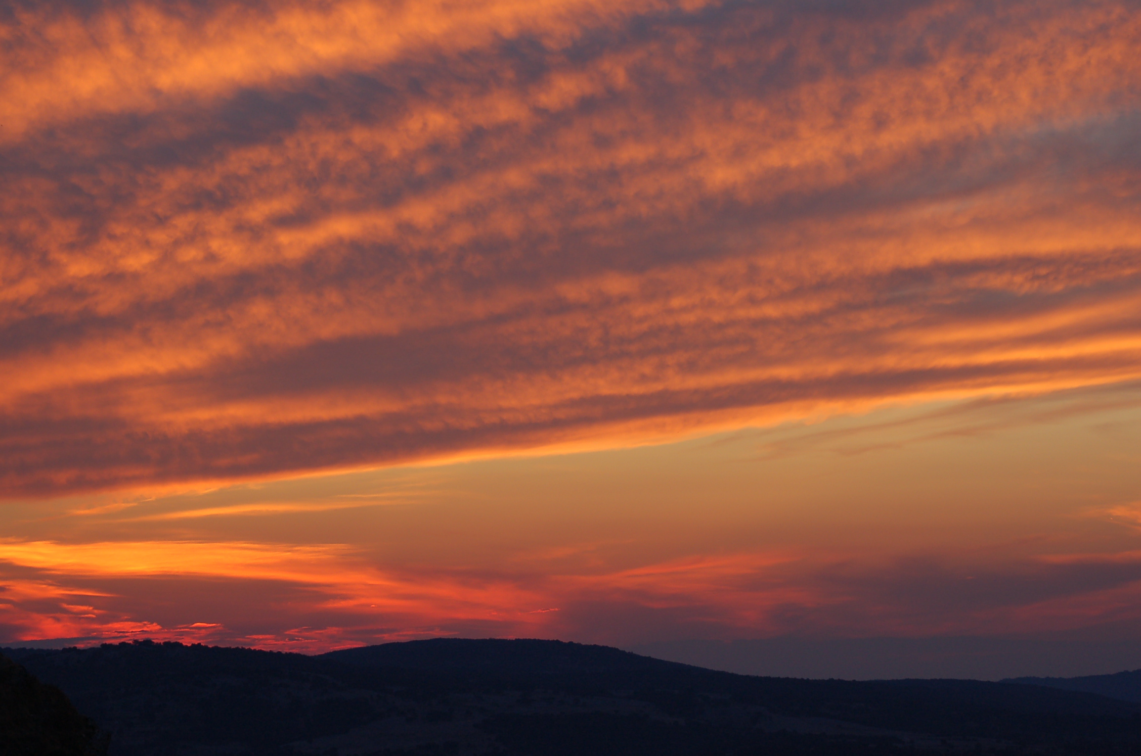 sunset on the forest
