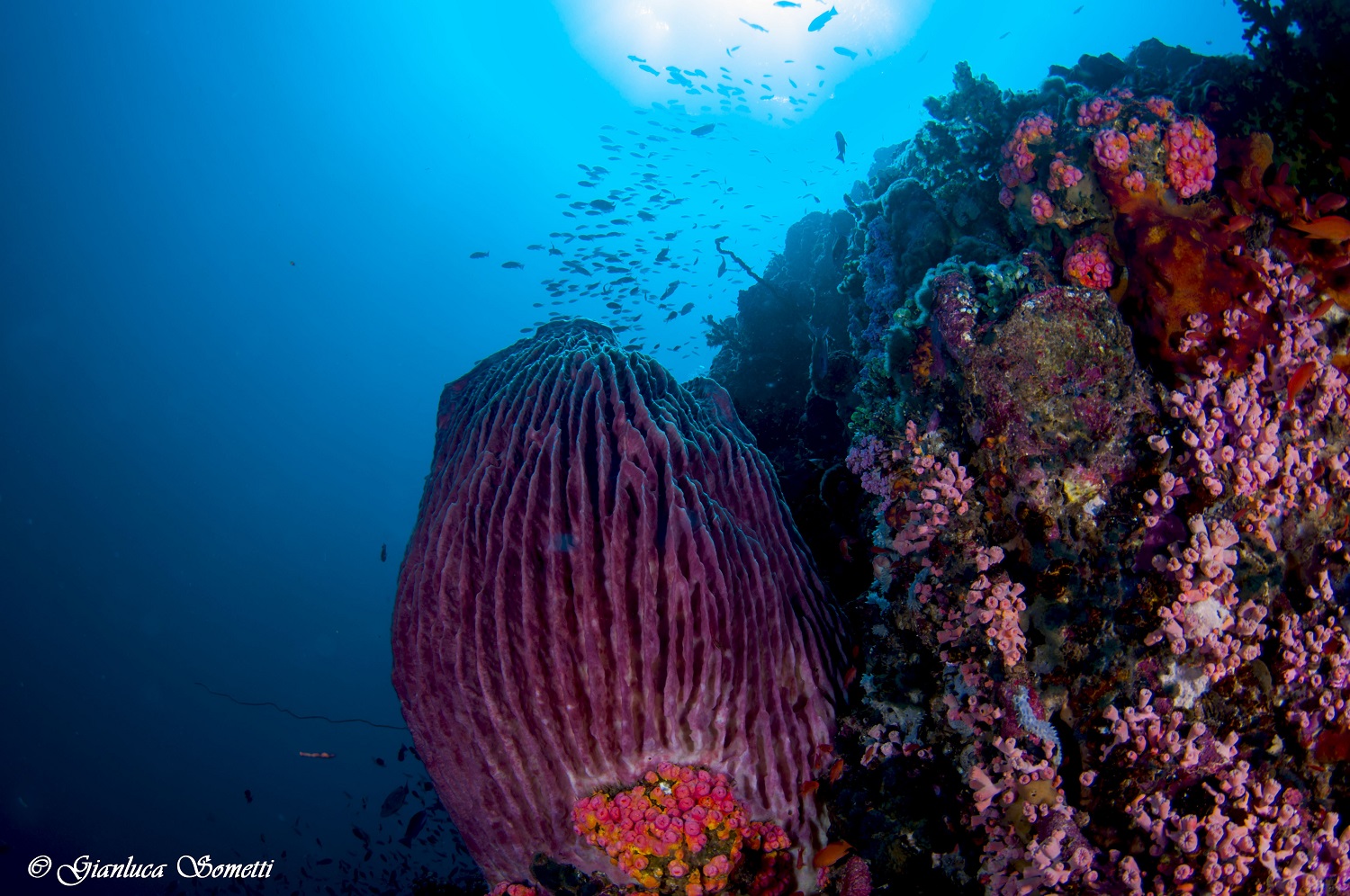 Green Island / Philippines - wide