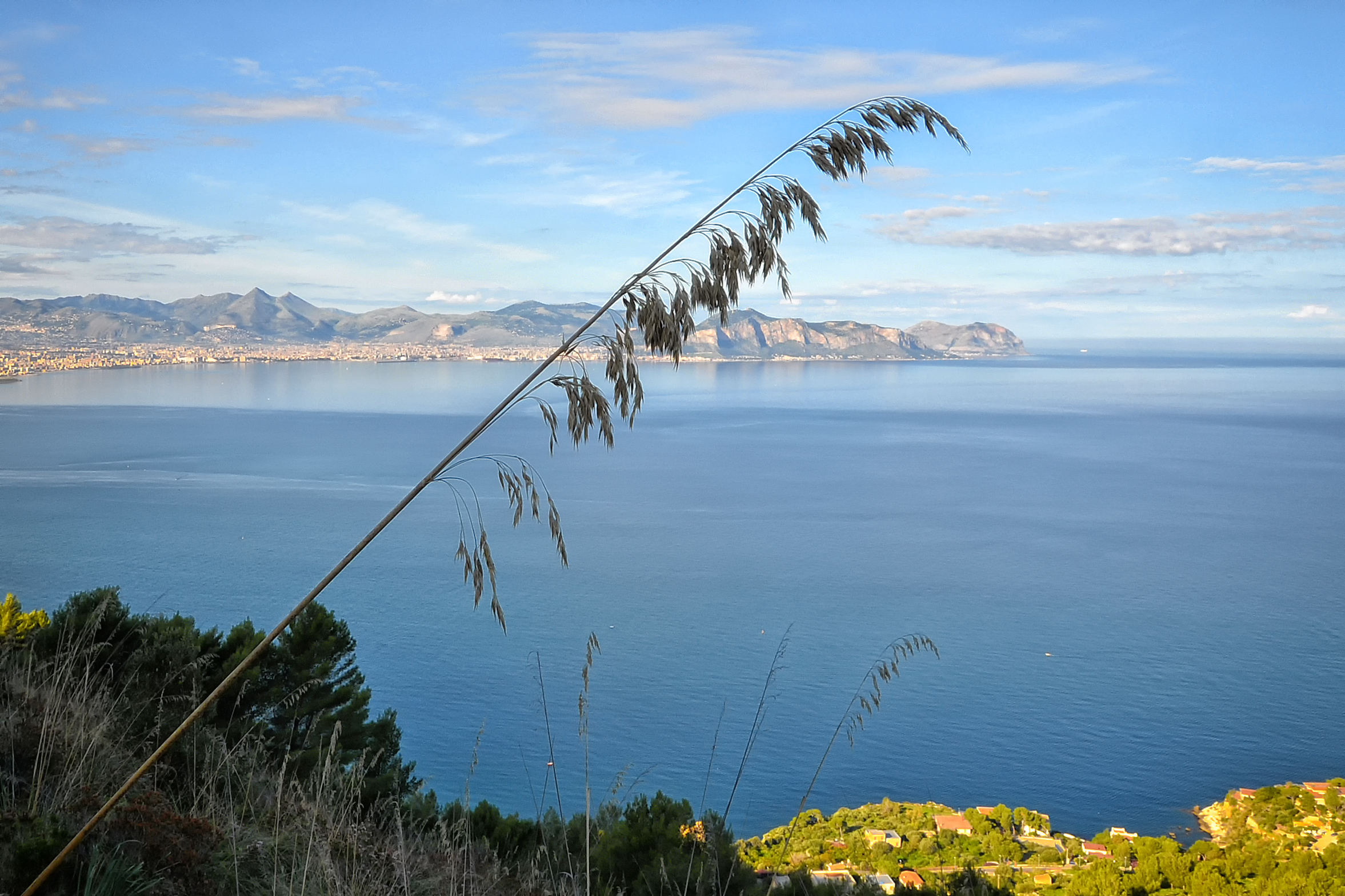 Panoramica Conca D'Oro
