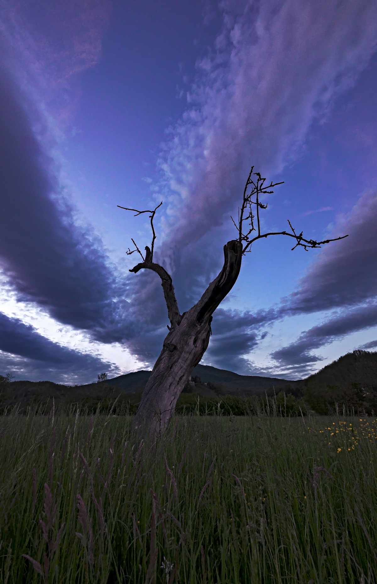 Urlando contro il cielo ..