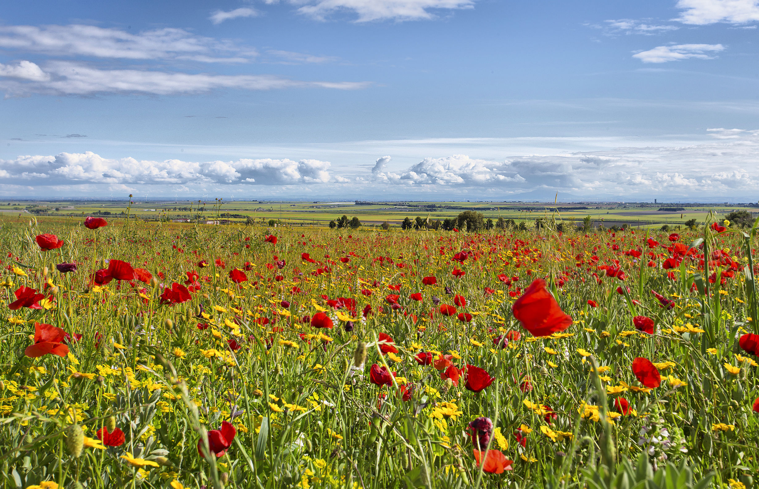 San Giovanni Rotondo