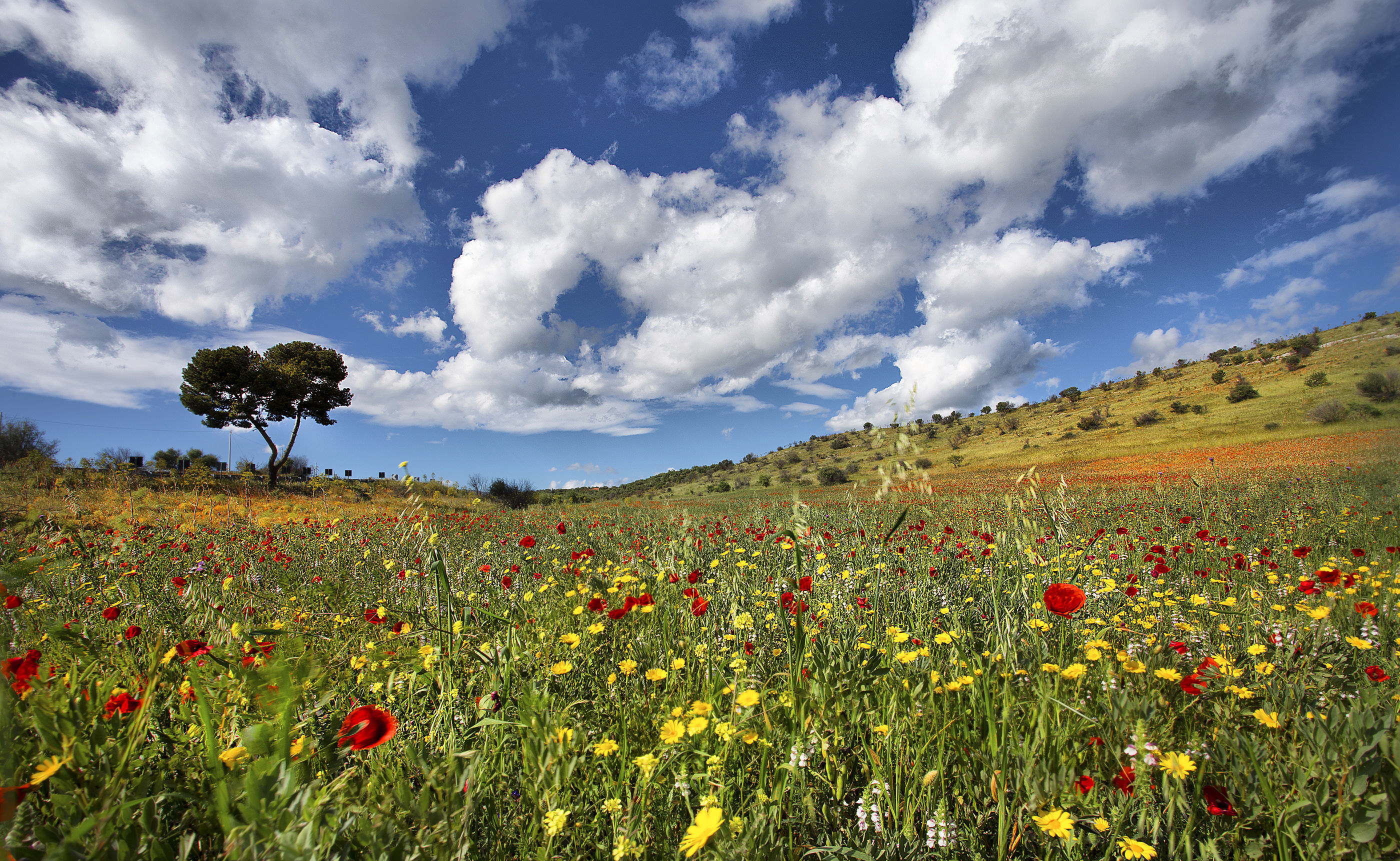 San Giovanni Rotondo