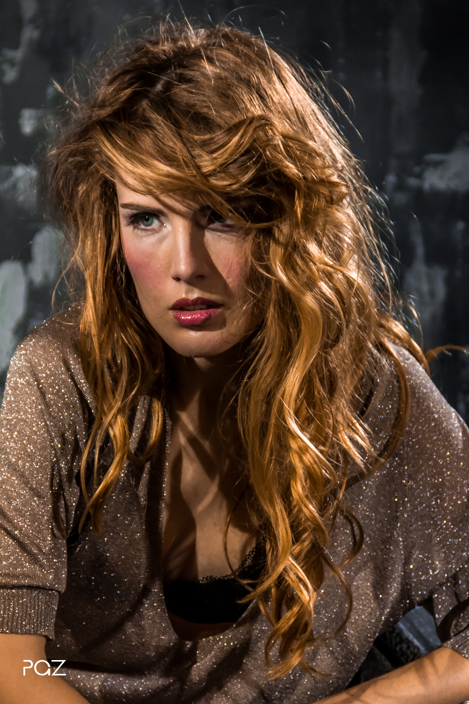 PhotoVideo Show 2014