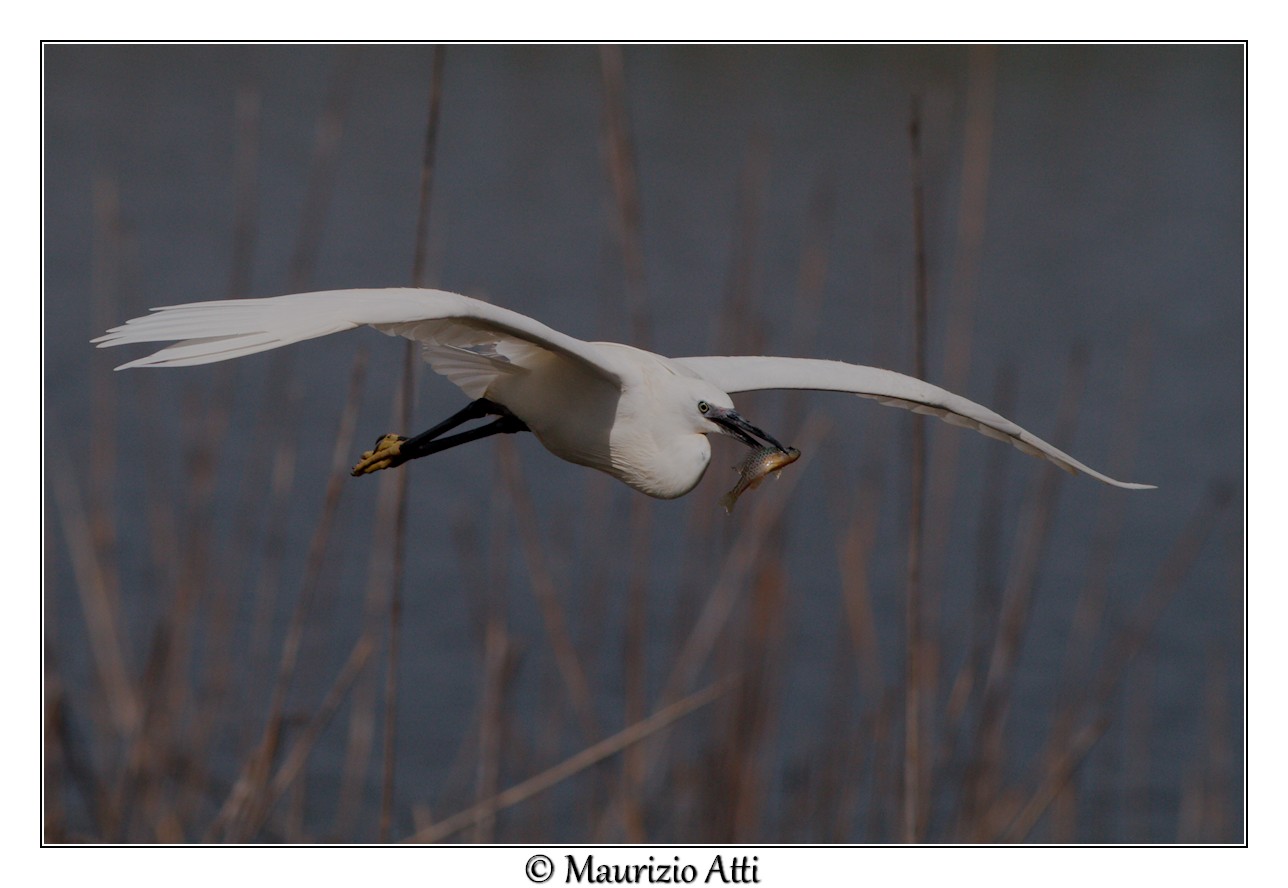 Anche oggi si mangia
