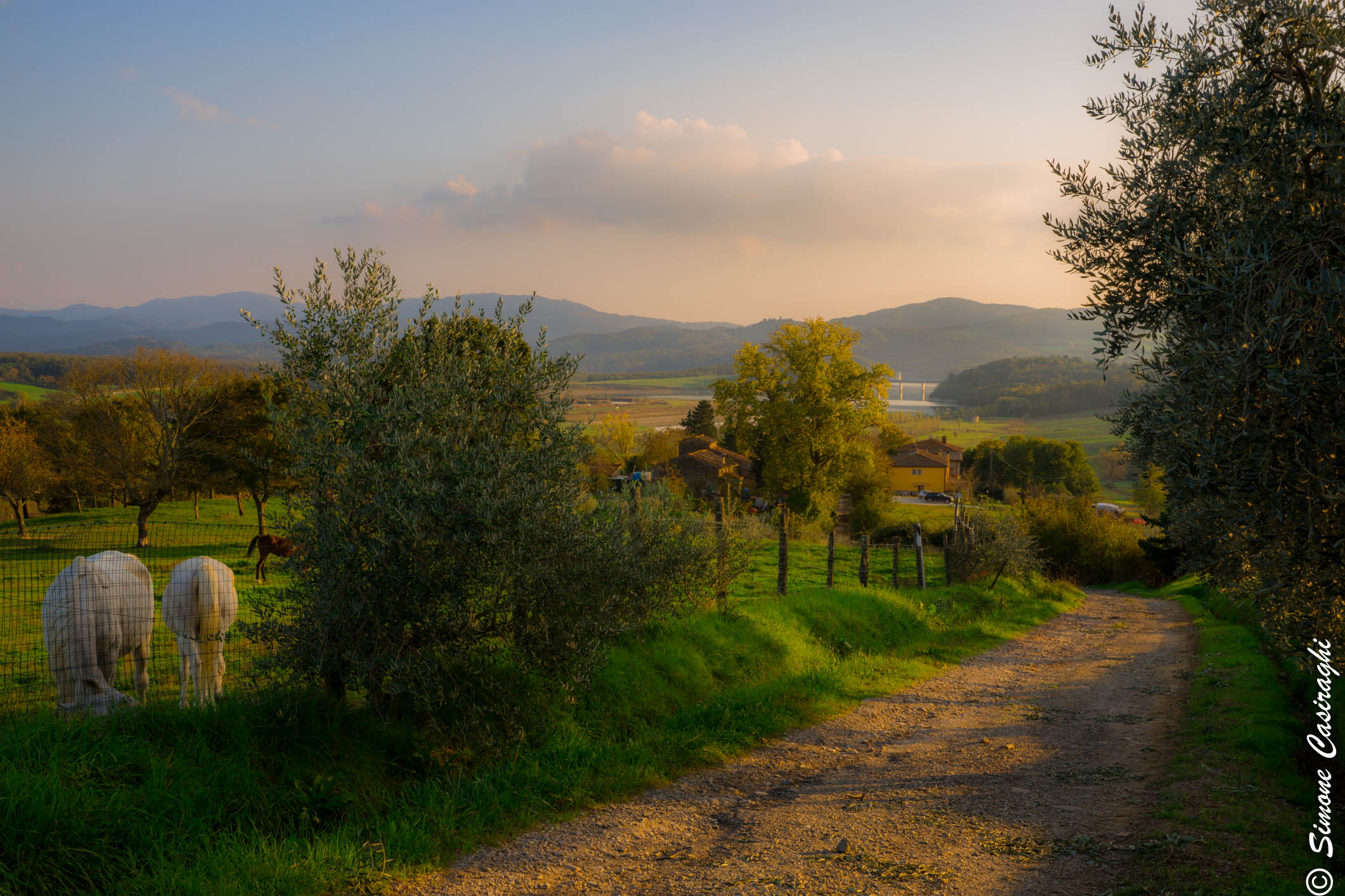 Paesaggio con cavalli