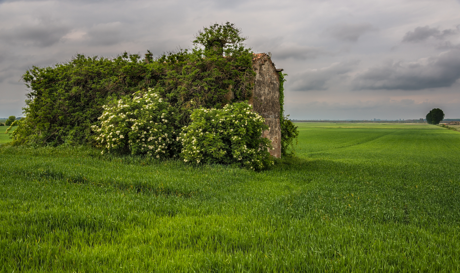 Un cappotto naturale